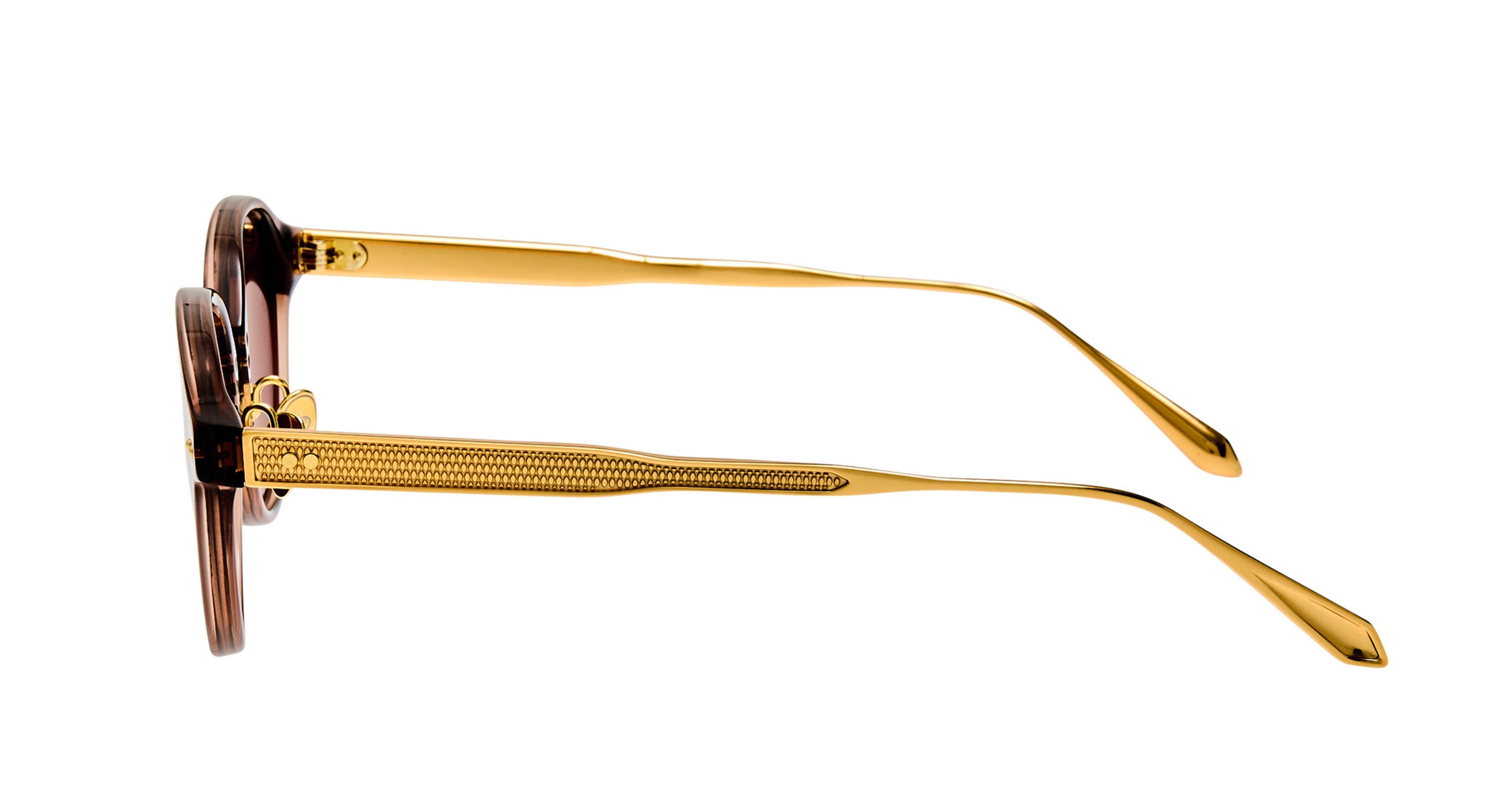Lfl Translucent Brown Frame Sunglasses with Textured Gold-Toned Temples