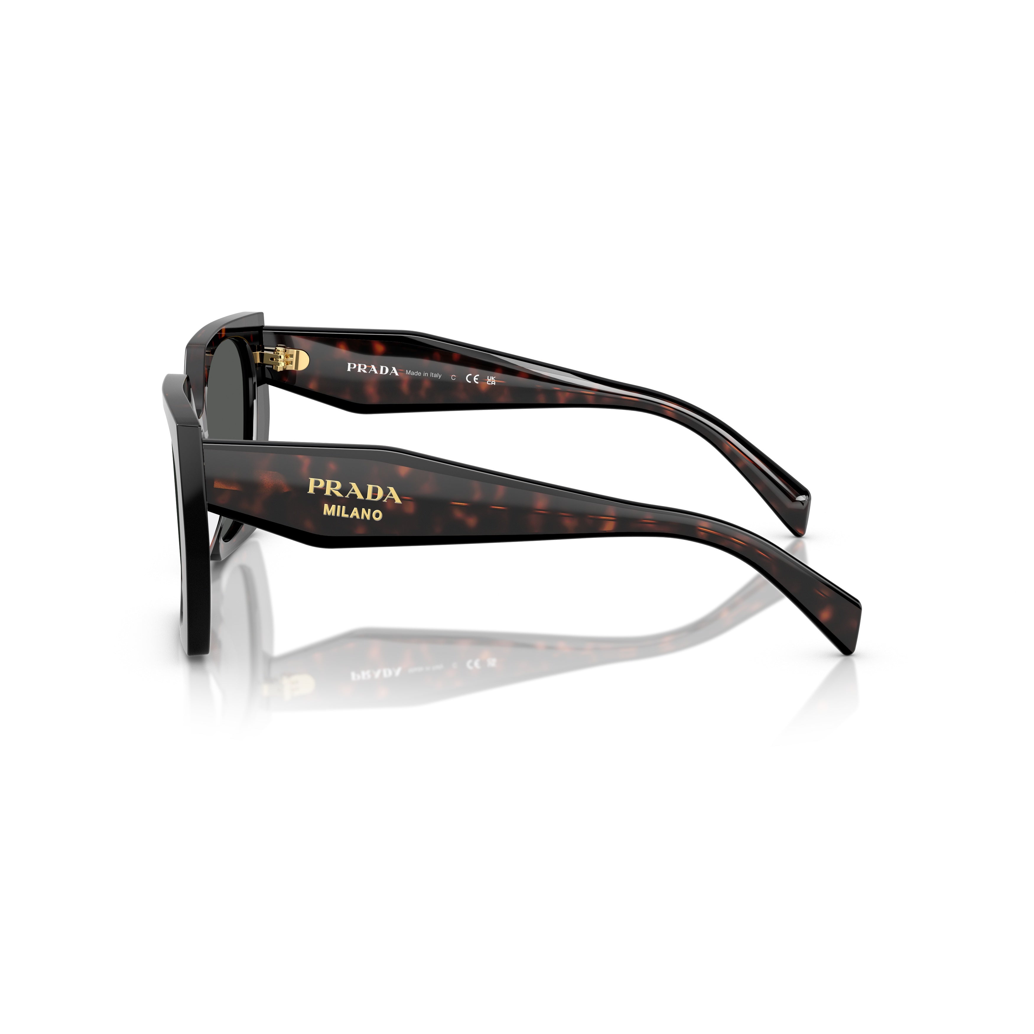 0pr 15ws Oversized Tortoiseshell Acetate Sunglasses