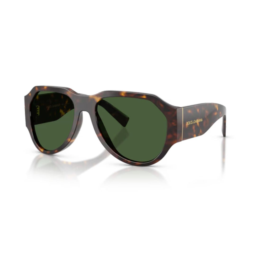 0dg4504 Oversized Tortoiseshell Acetate Sunglasses