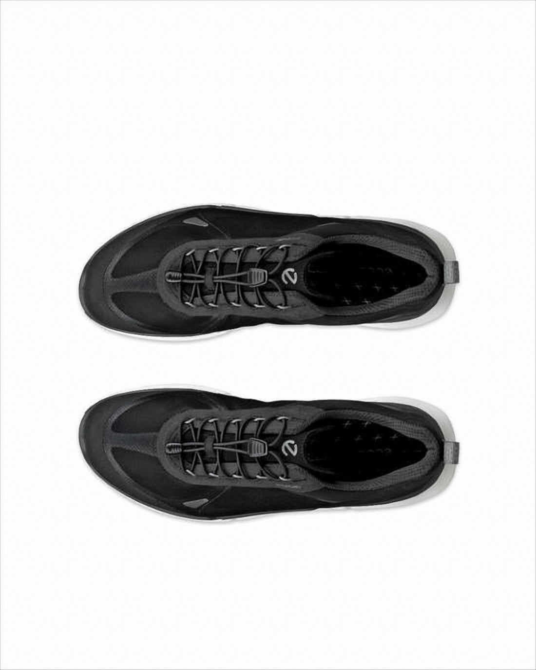 Low-Top Sneakers with Streamlined Silhouette