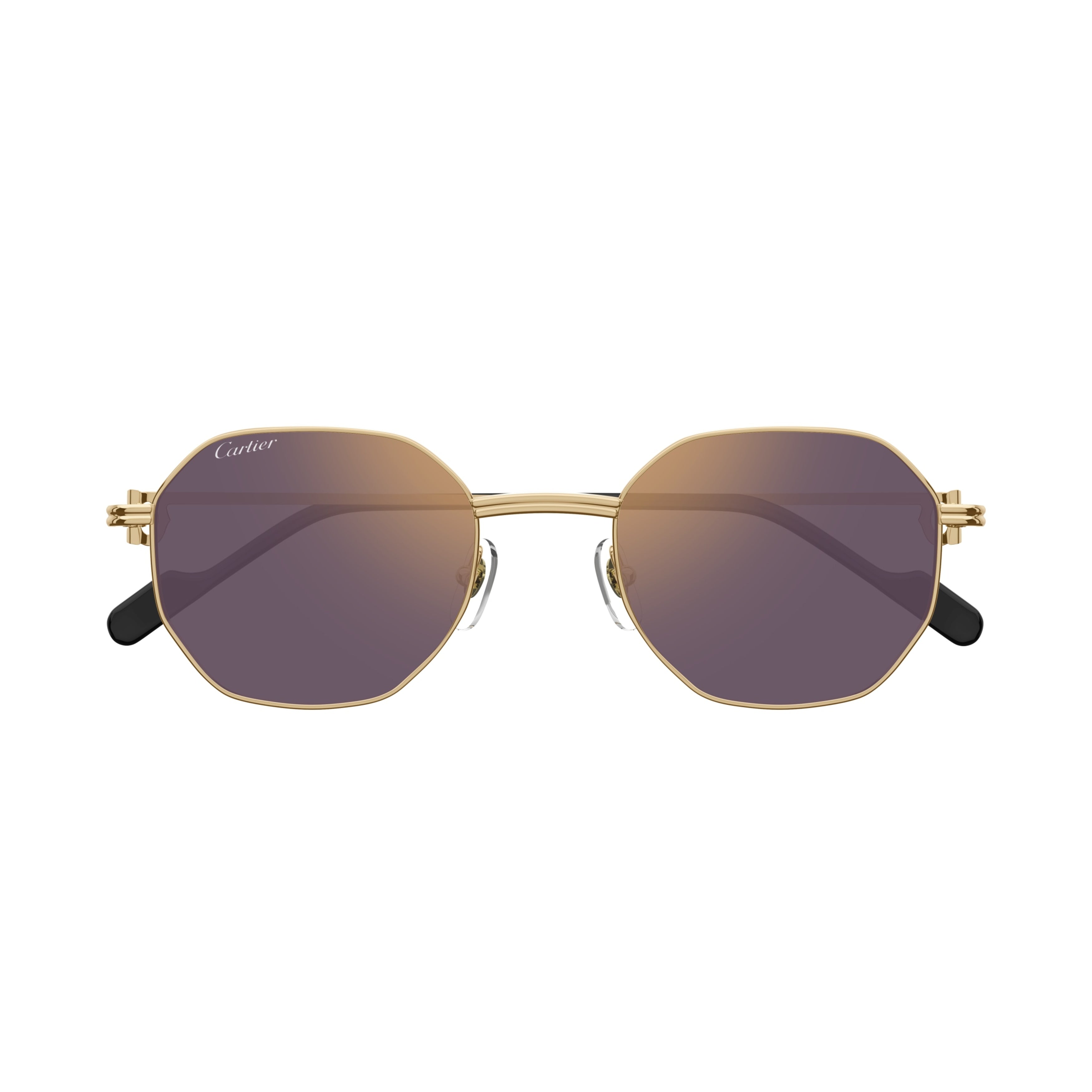 Ct0500s Geometric Octagonal Metal Sunglasses