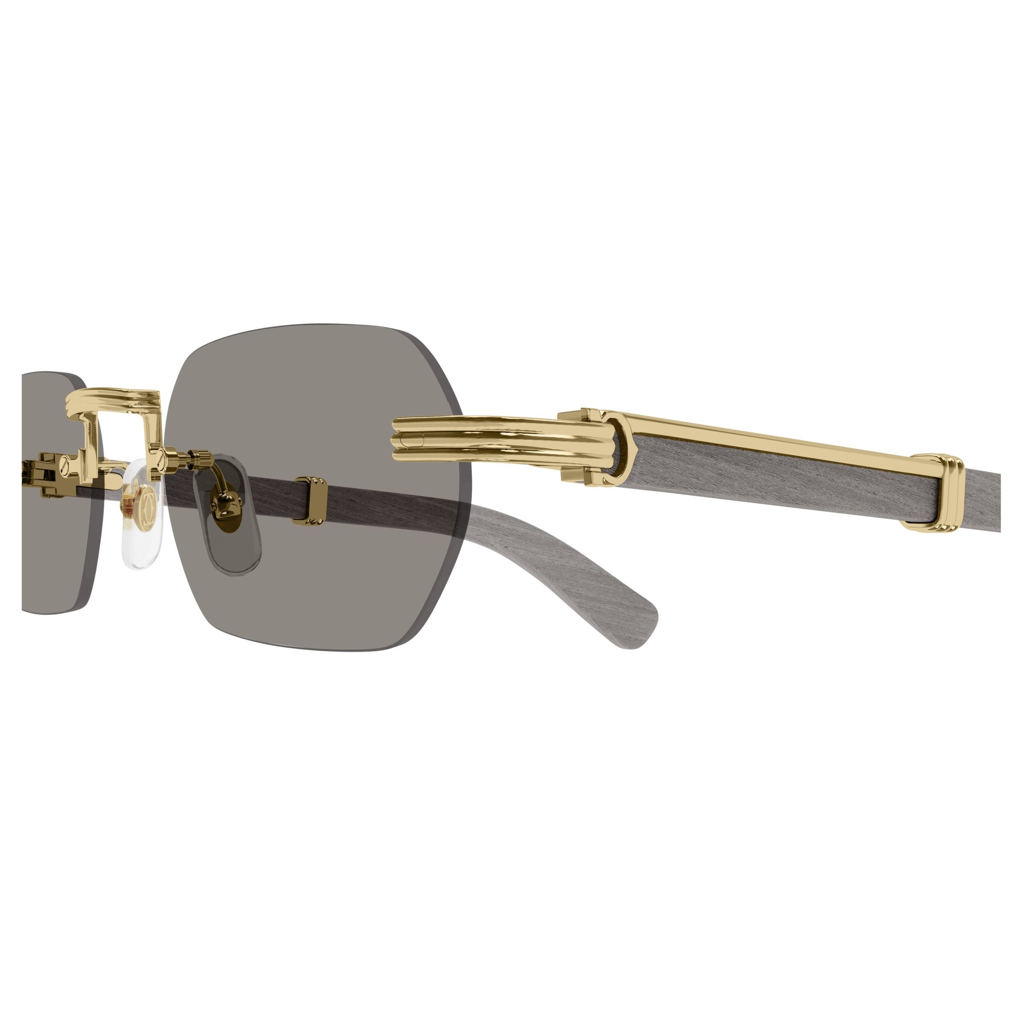 Ct0362s Rimless Rectangular Sunglasses