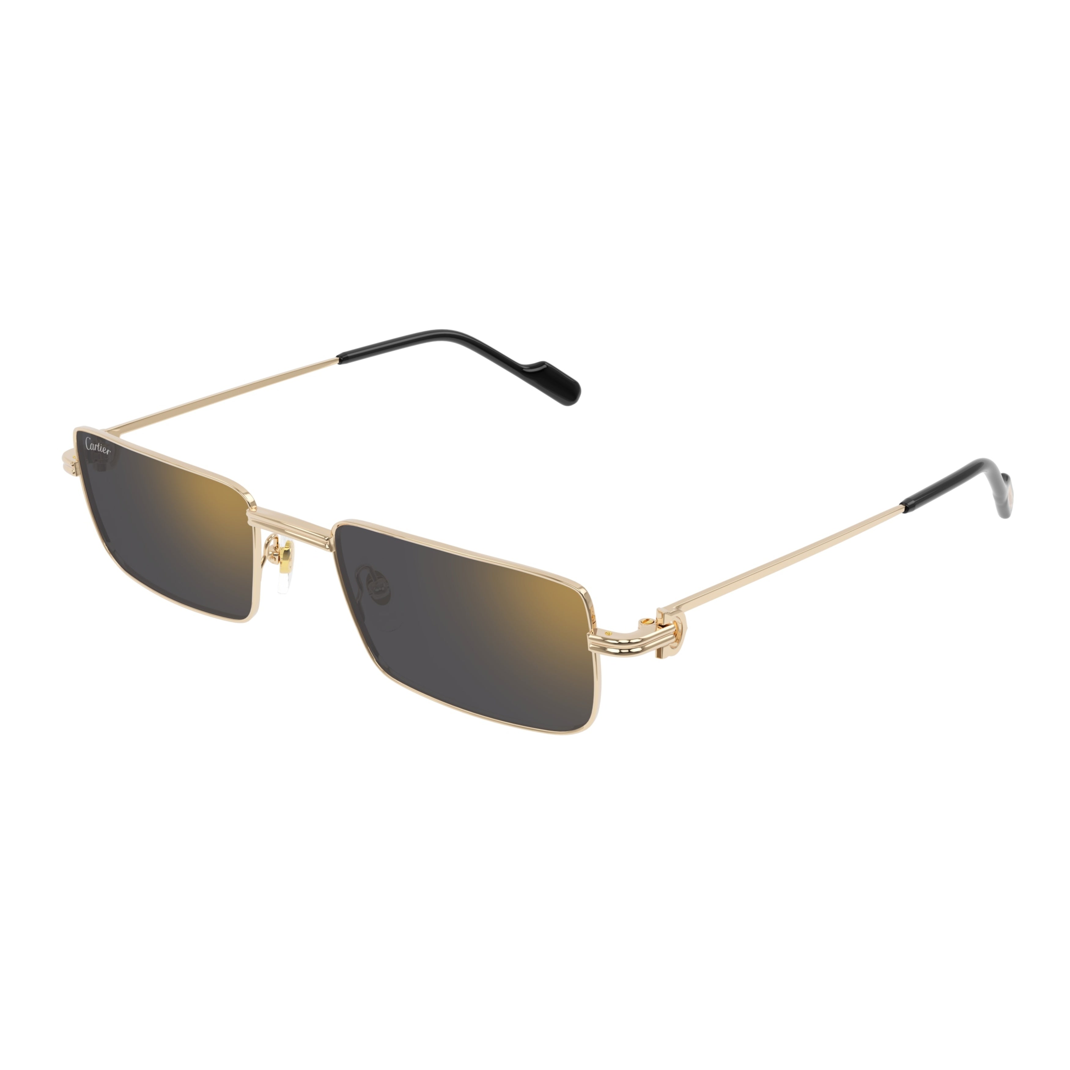 Ct0501s Rectangular Gold-tone Sunglasses