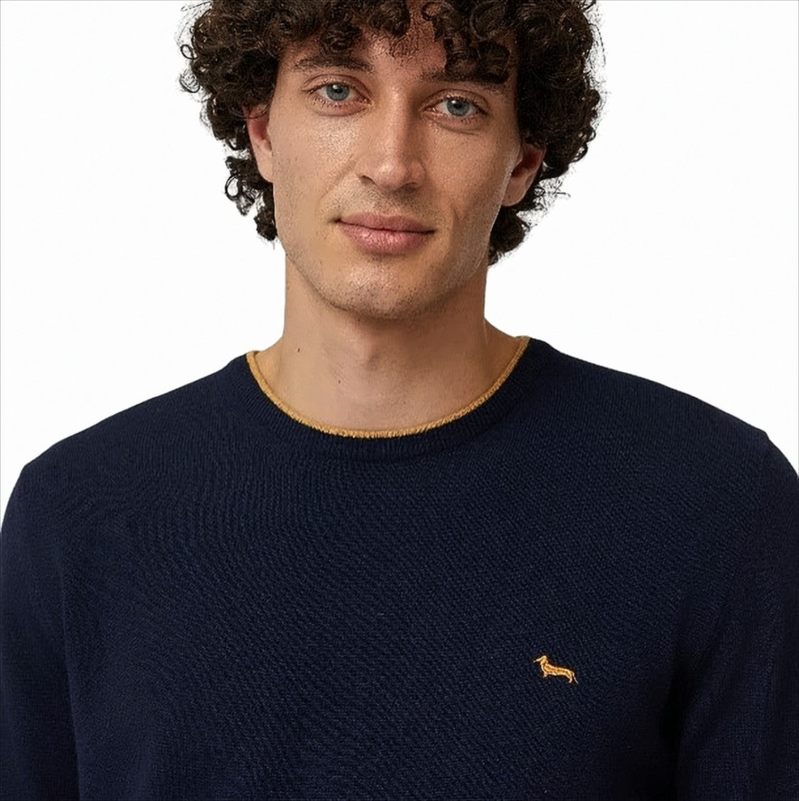 Cashmere Blend Pullover With Stylish Stripes And Iconic Logo