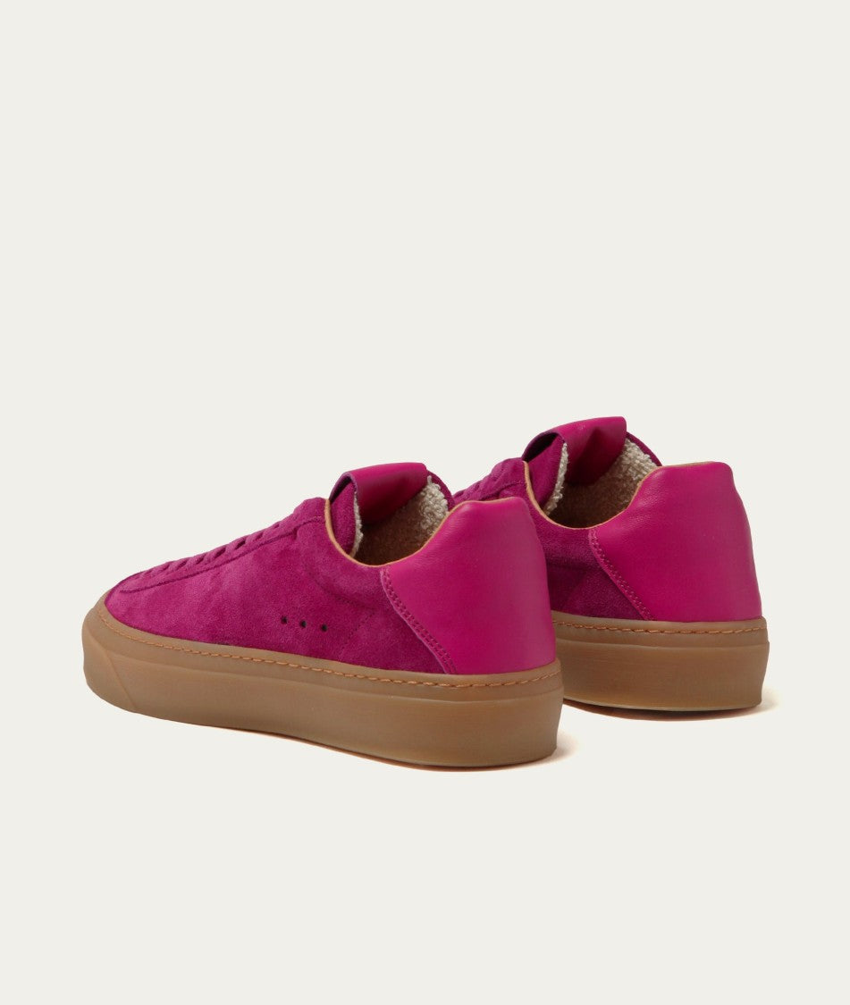 Regata Pink