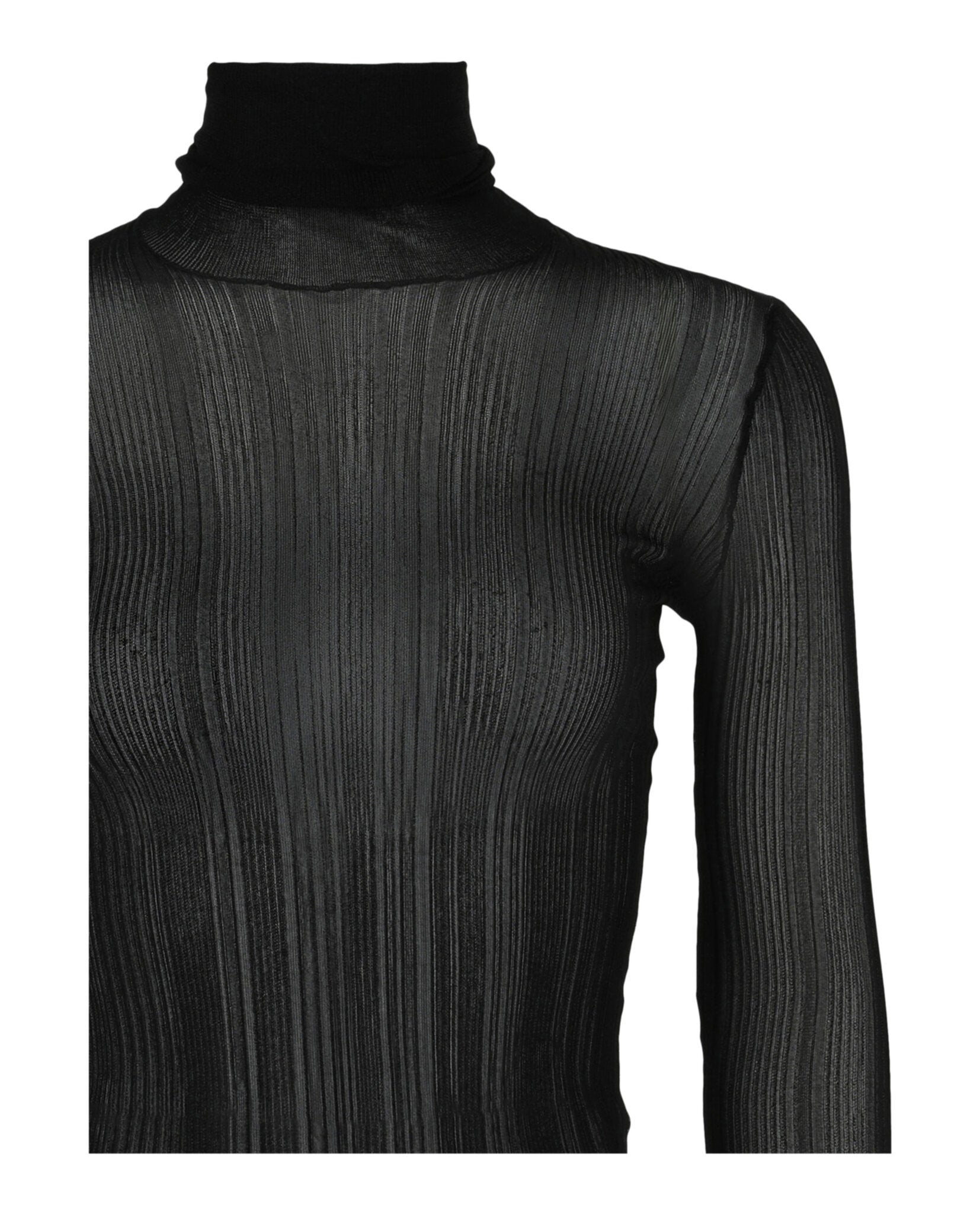 Sheer Stretch Turtleneck