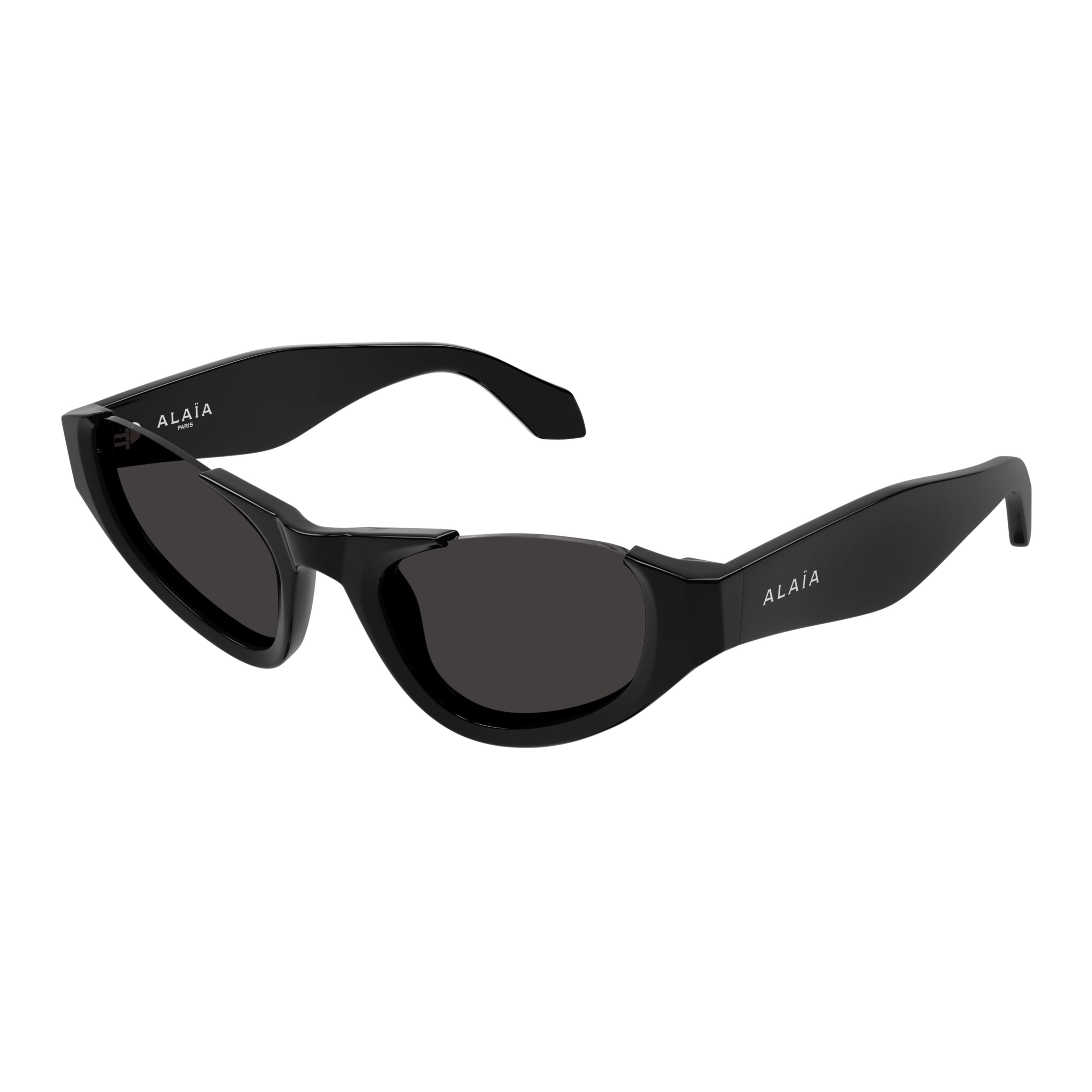 Aa0076s Cat-Eye Sunglasses in Glossy Black Recycled Acetate