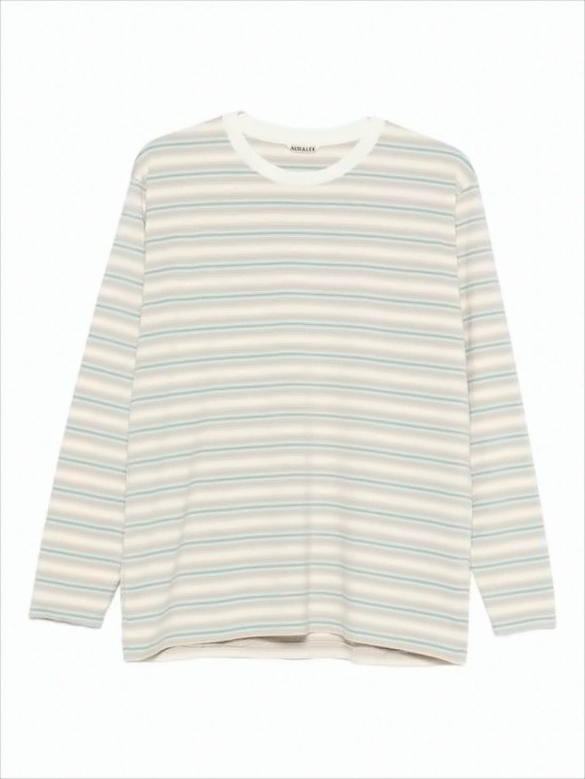 Striped Long-Sleeve Crew Neck T-Shirt