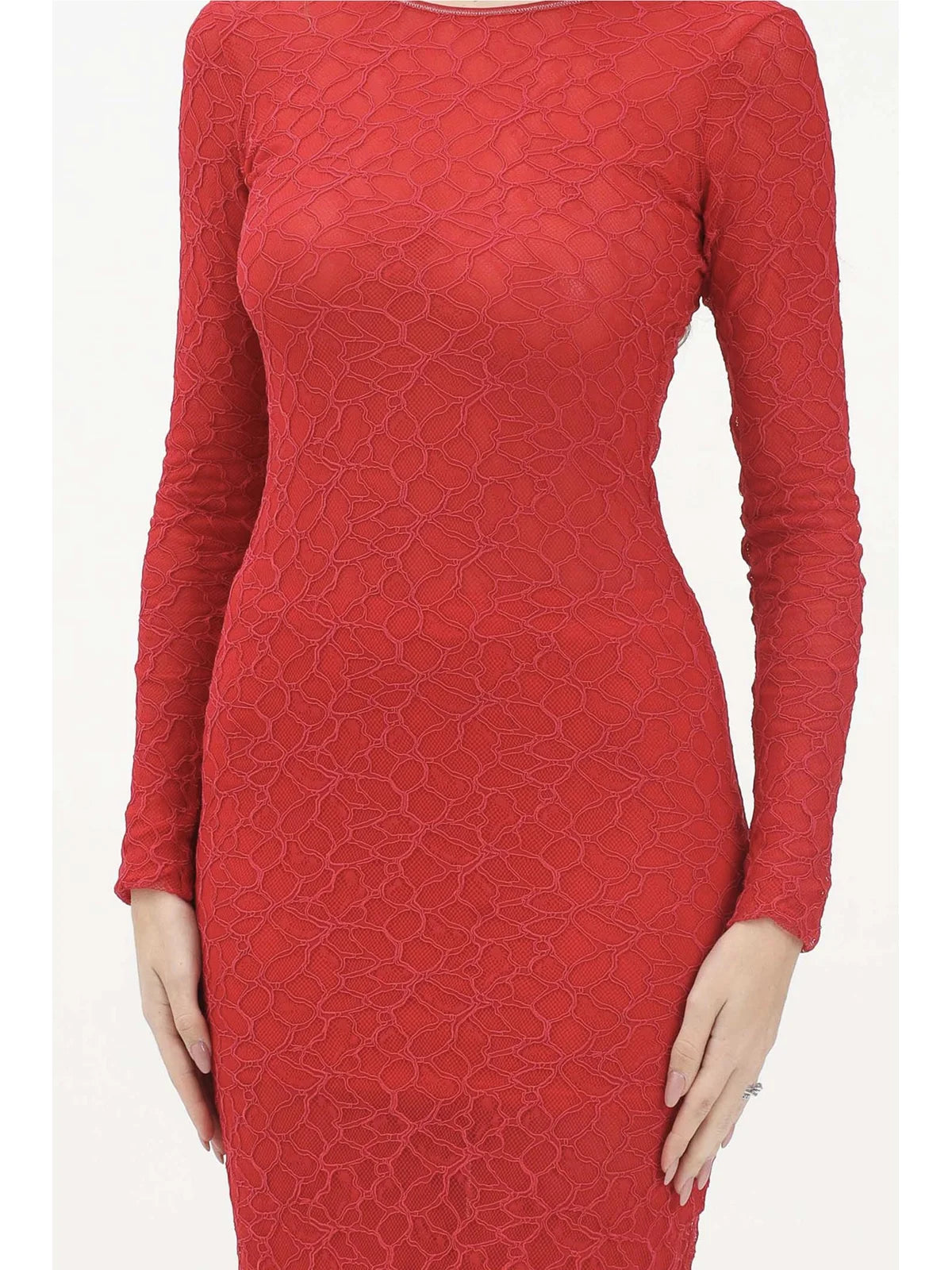 Red Nylon Elastane Lace Silhouette Dress