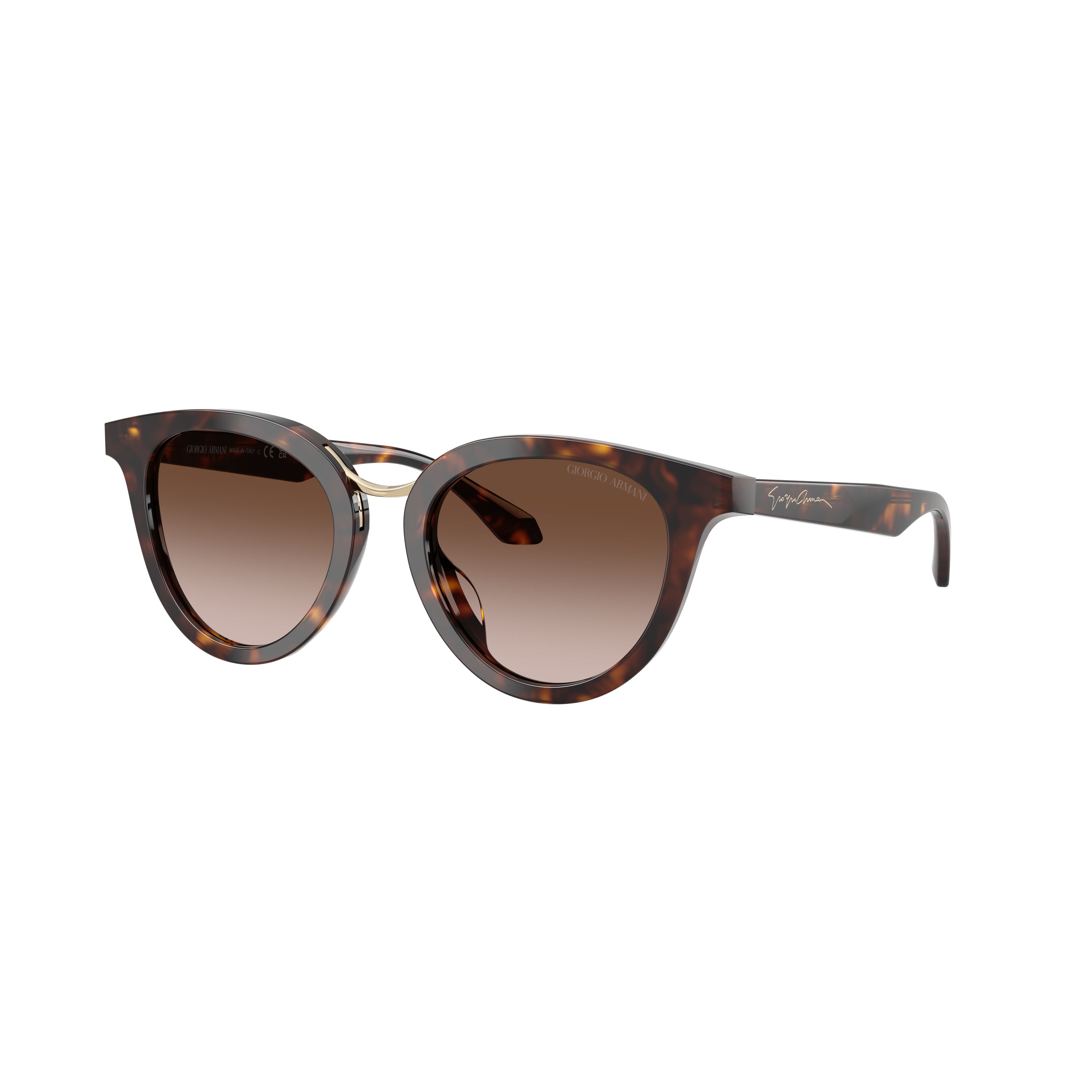 0ar8252u Rounded Cat-Eye Sunglasses with Tortoiseshell Acetate Frame