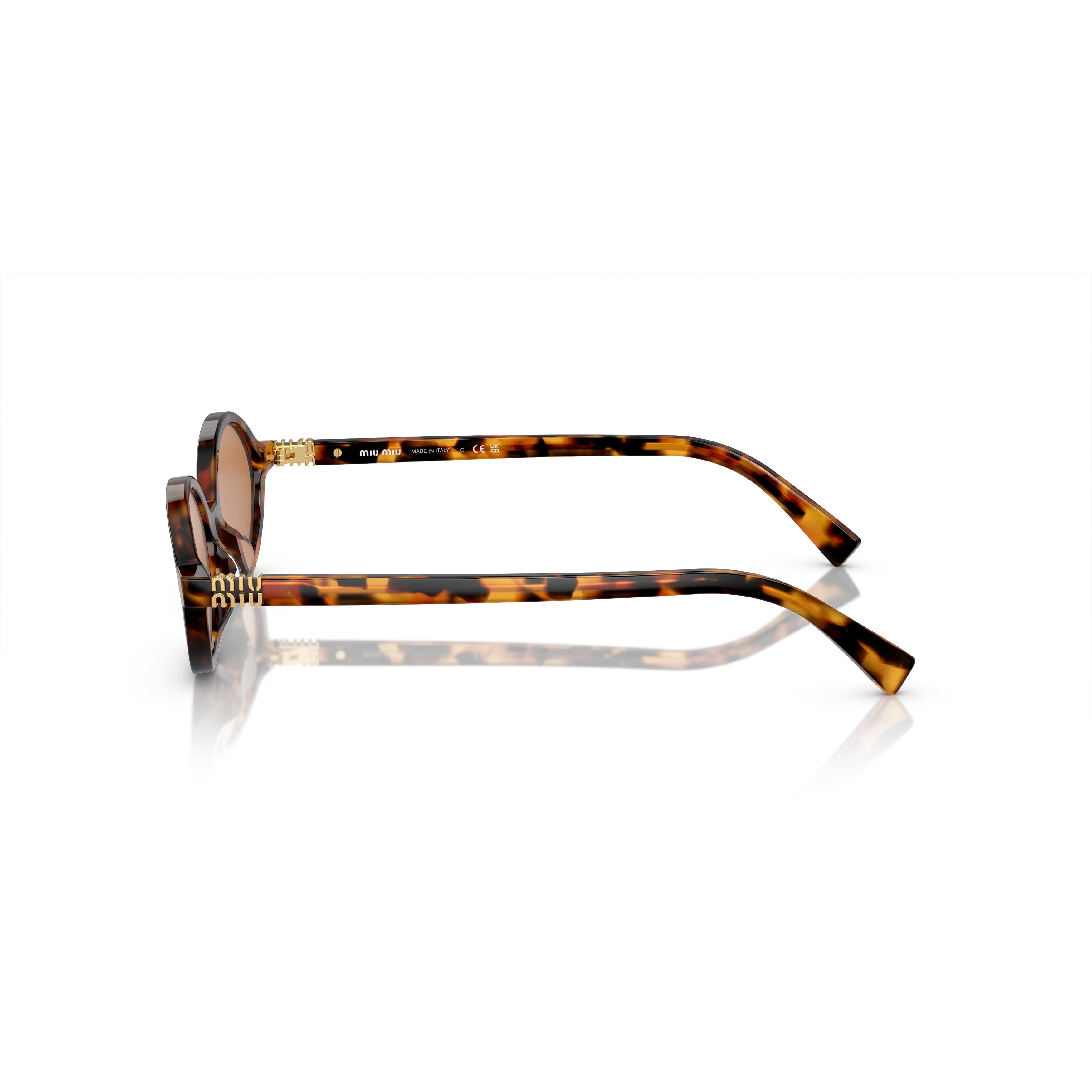 Tortoiseshell Acetate Oval Sunglasses with Gold Accents