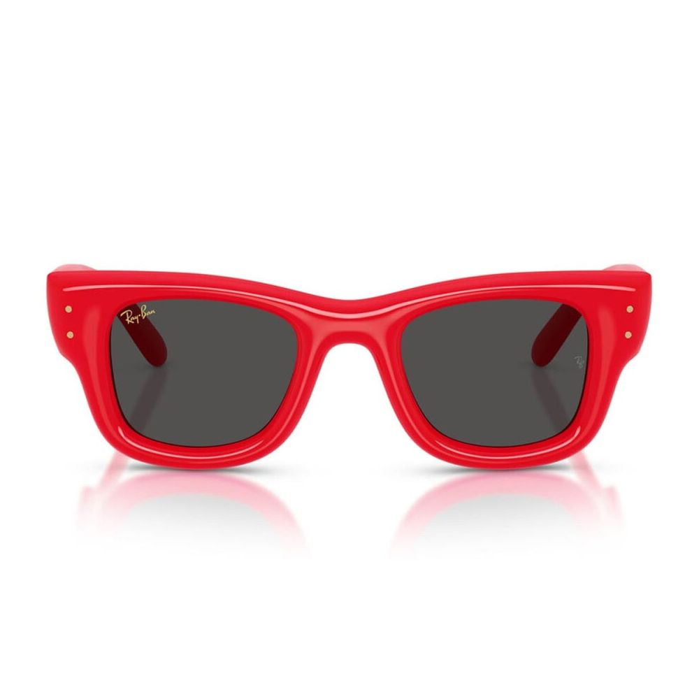 Rb4940 Wayfarer Puffer