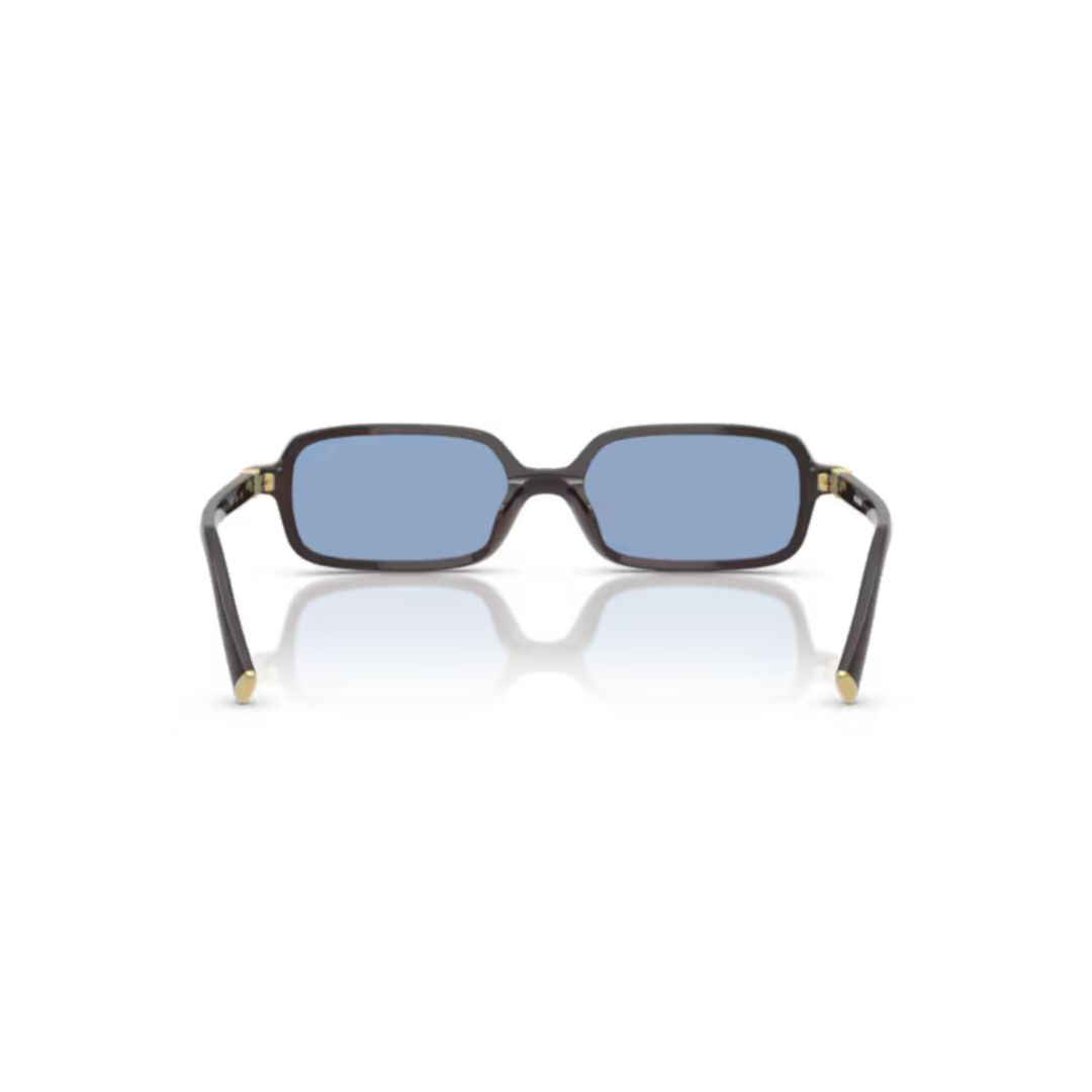 0mu 11zs Rectangular Black Acetate Sunglasses