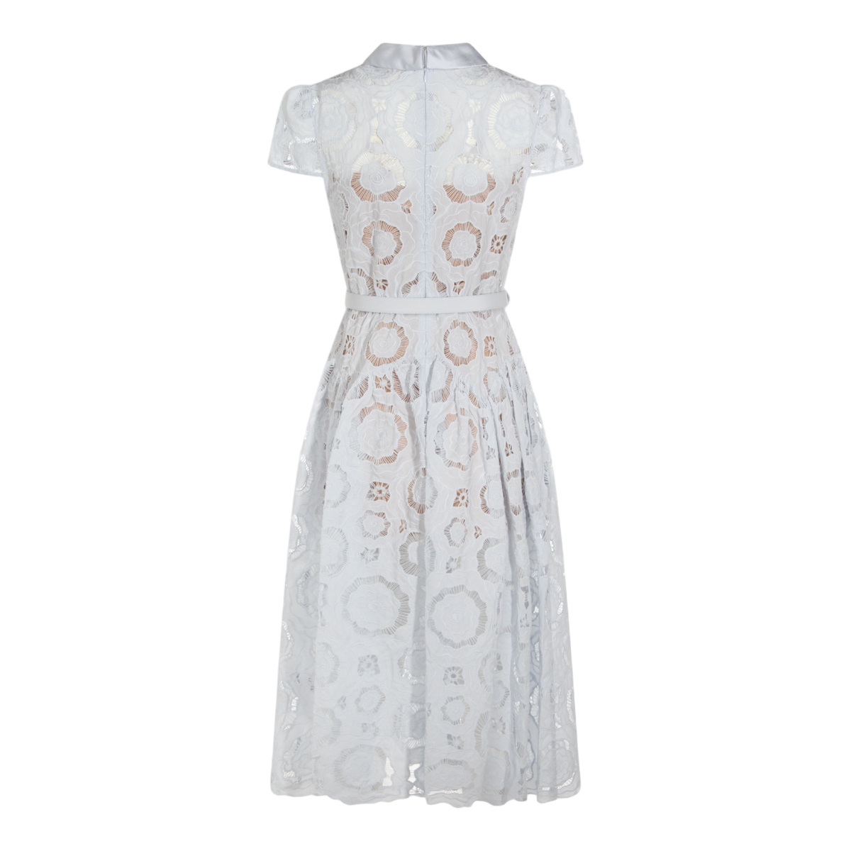 Lace Overlay Midi Dress with Puff Sleeves