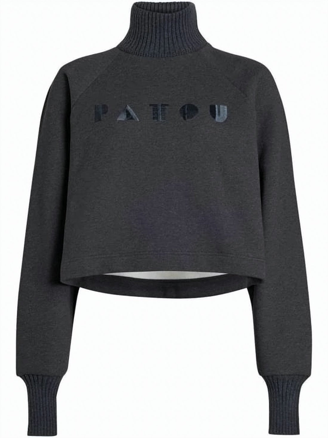 Cropped Long-Sleeve Top with High Ribbed Turtleneck