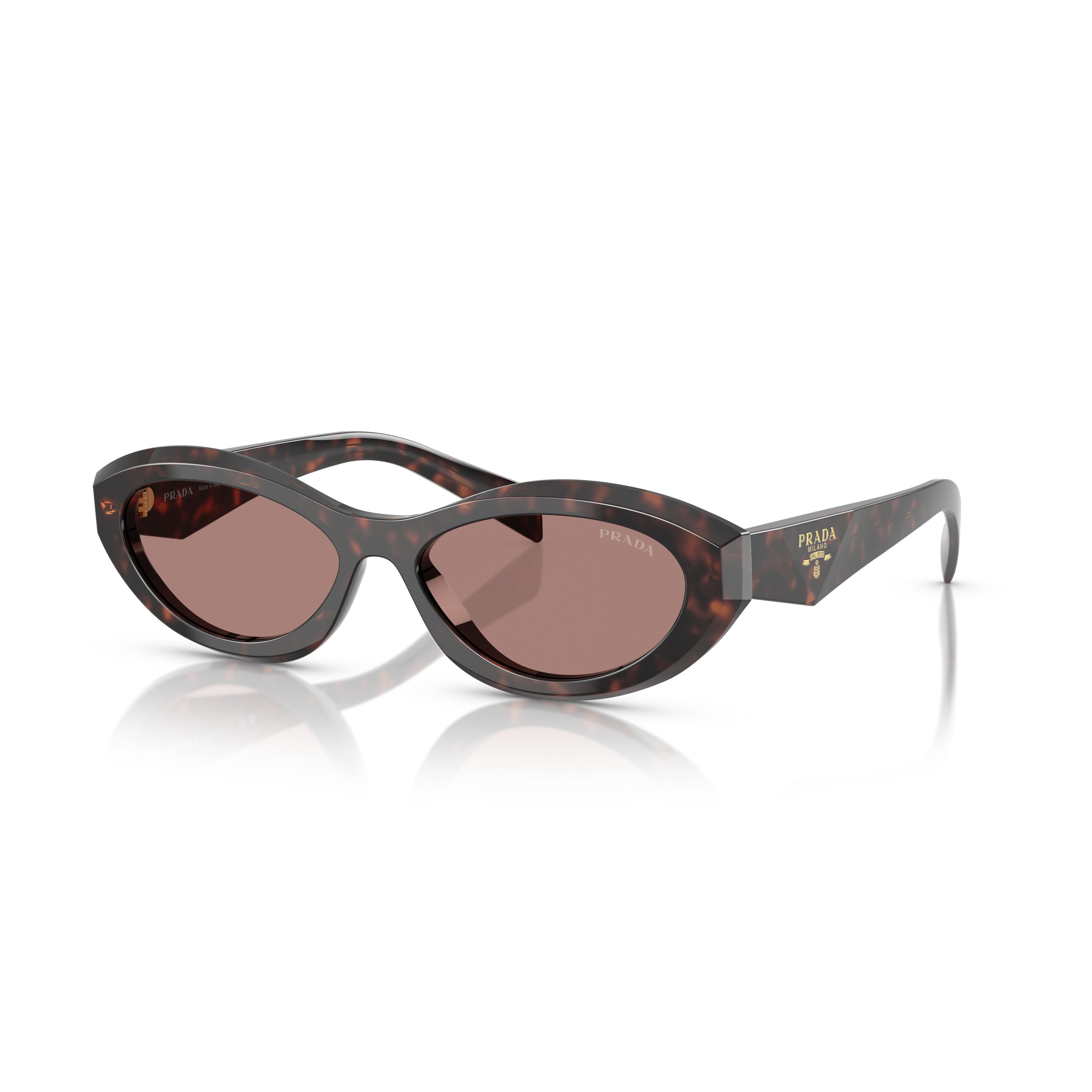 0pr 26zs Elongated Oval Tortoiseshell Acetate Sunglasses