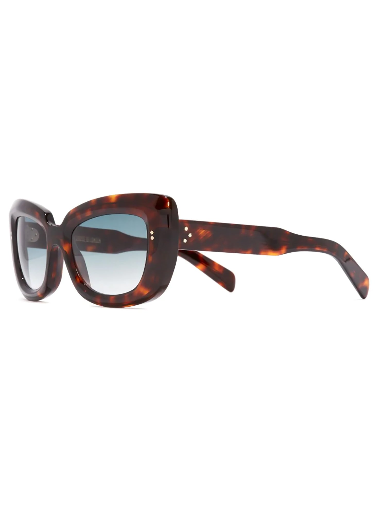 Oversized Tortoiseshell Frame Sunglasses
