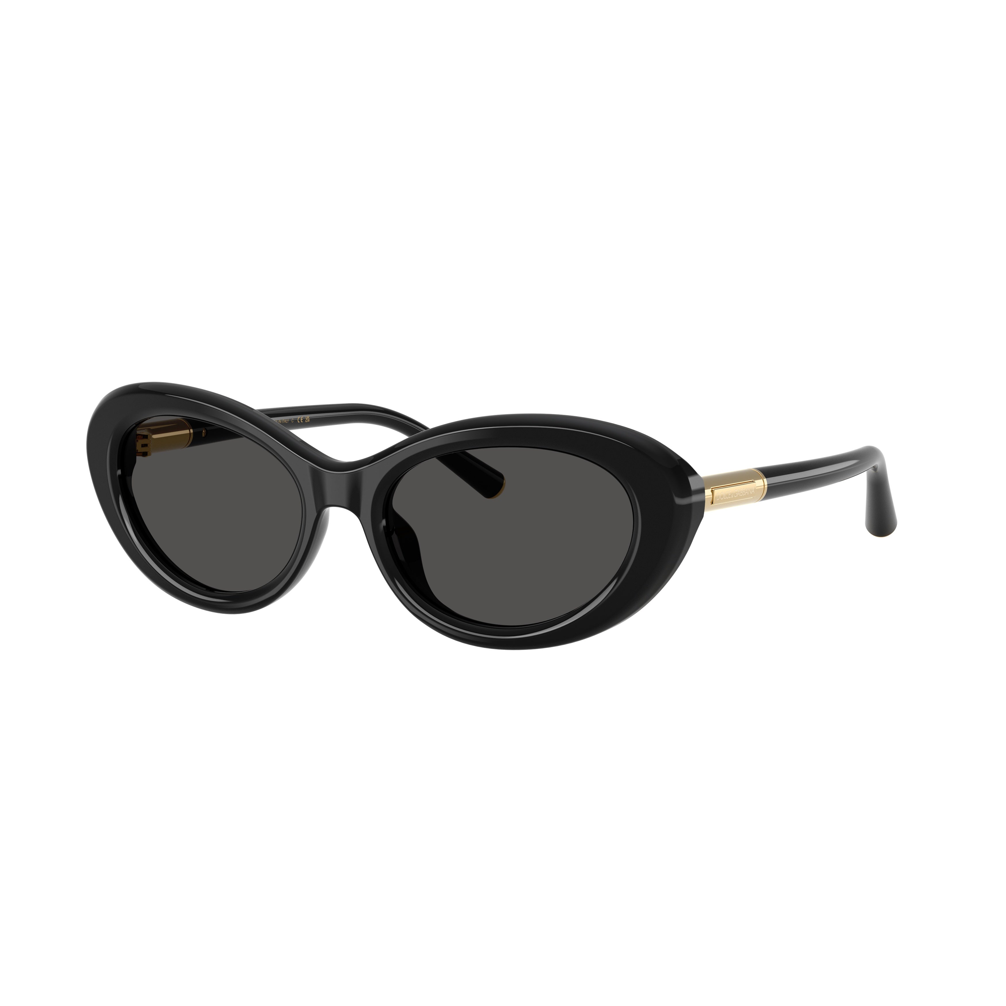 0dg4519 Oval Frame Sunglasses