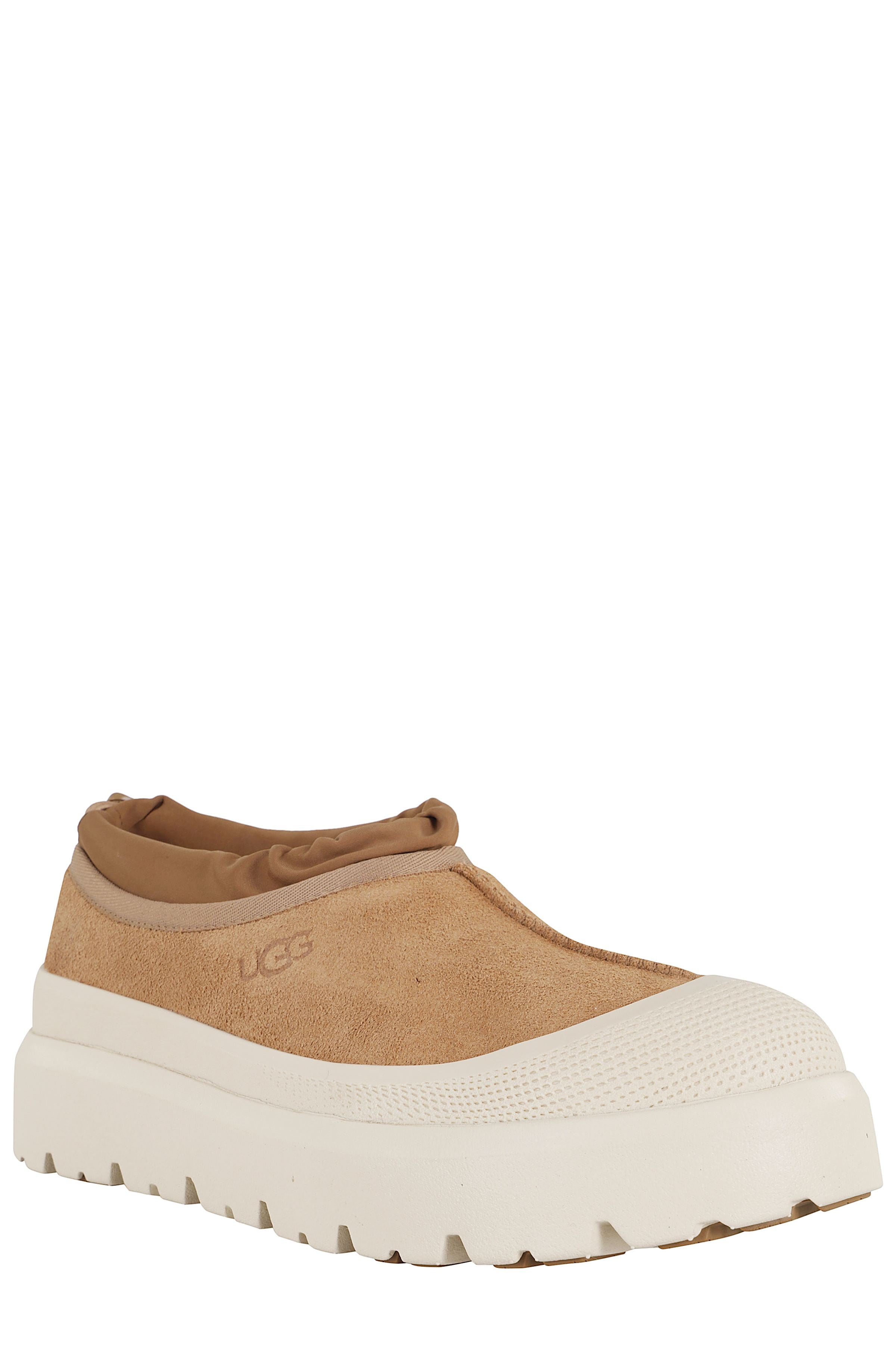 M Tasman Shoe
