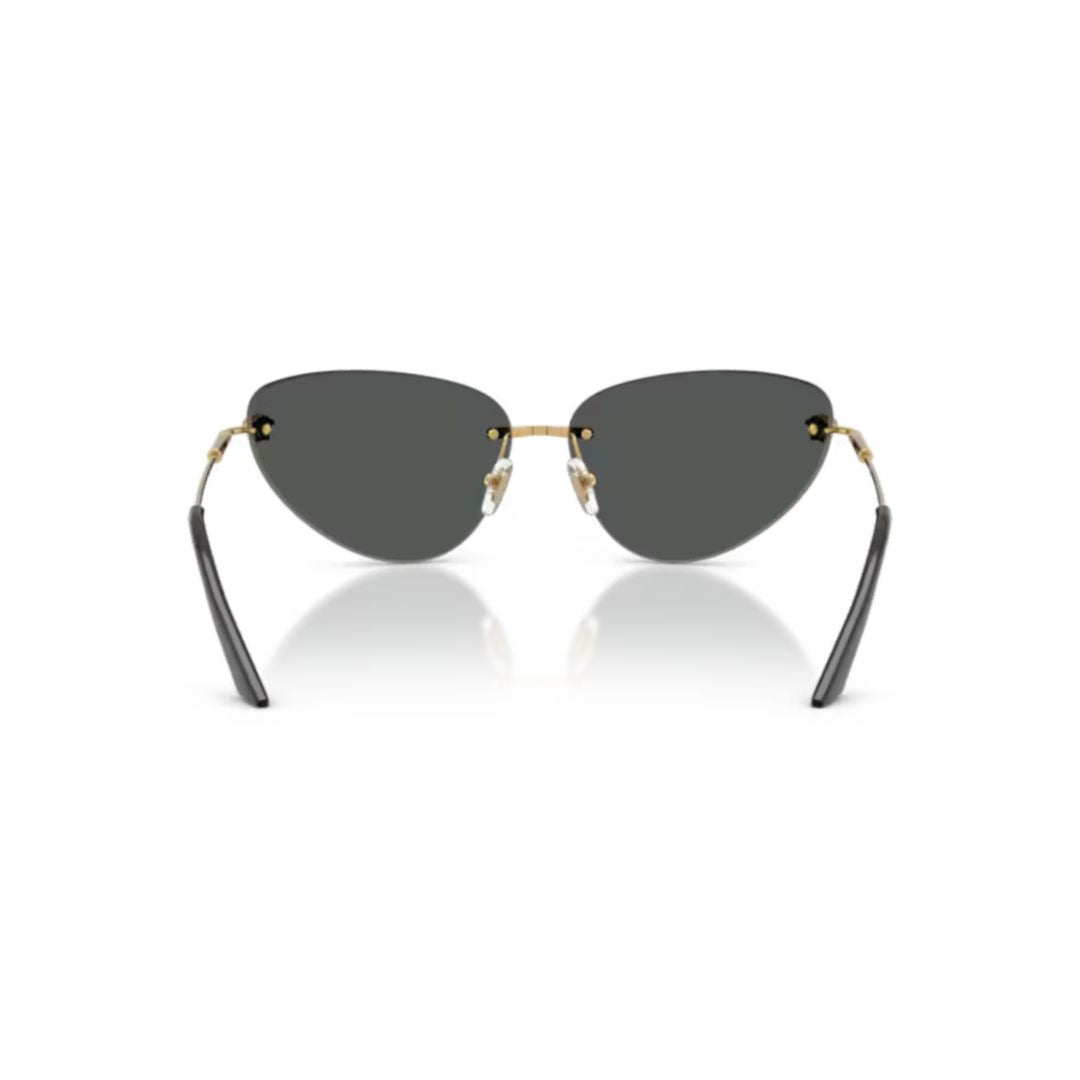 0ve2281 Cat-Eye Sunglasses