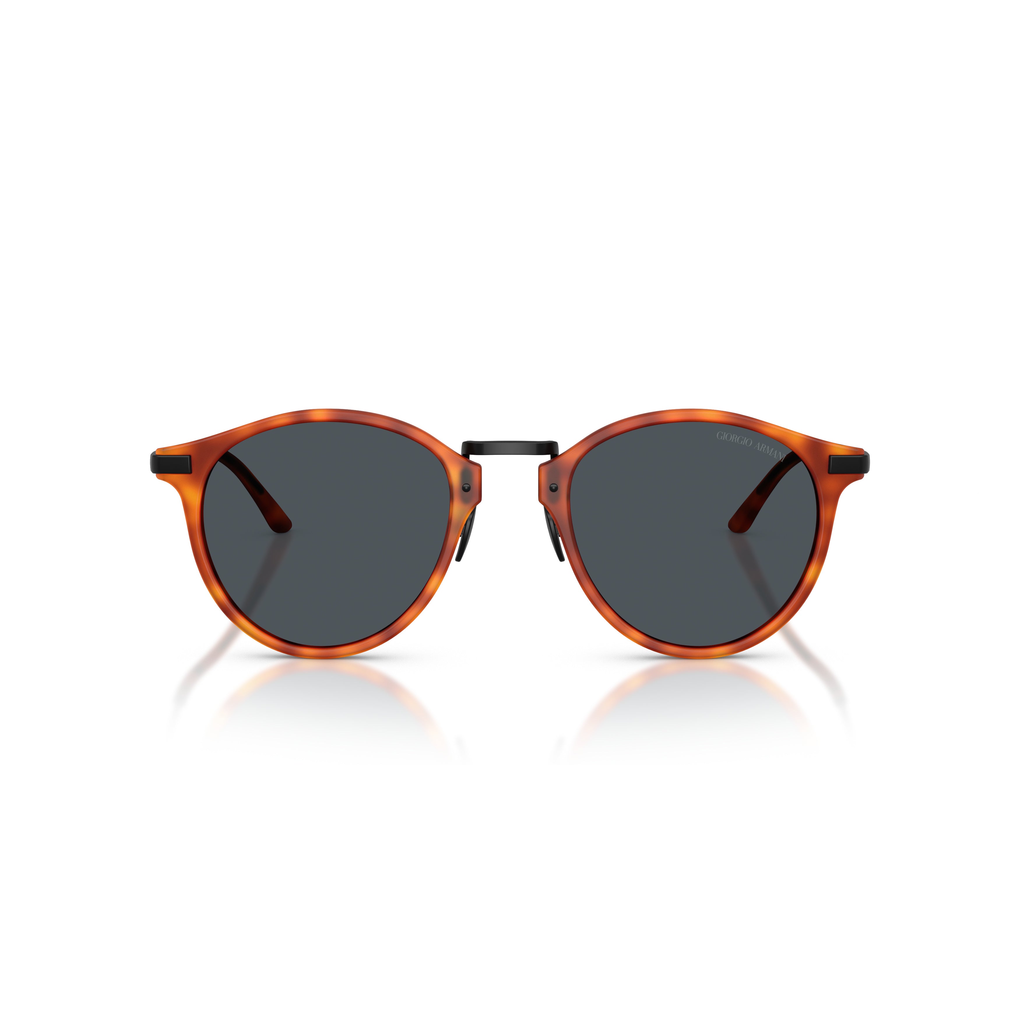0Ar8250 Tortoiseshell Acetate Sunglasses
