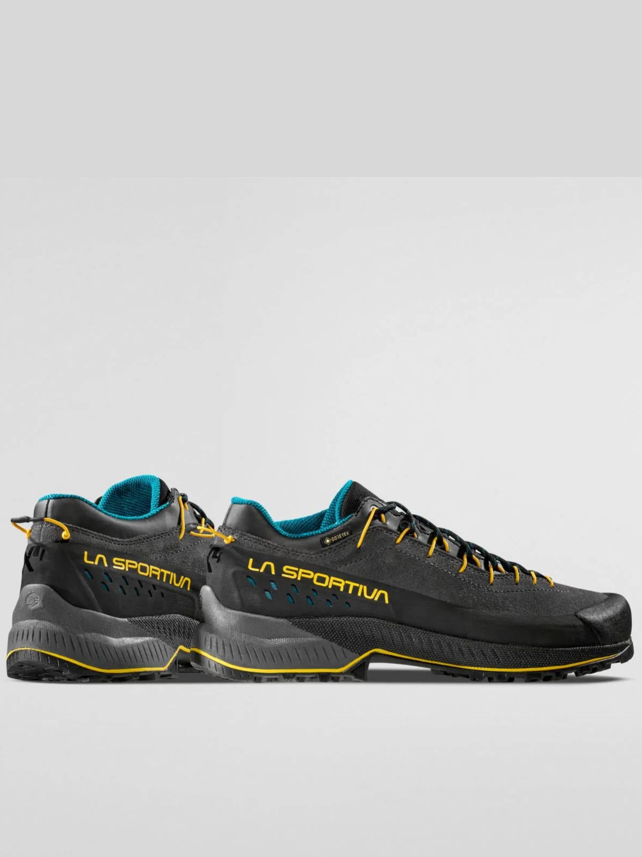 Black Tx4 Evo GTX Technical Shoes