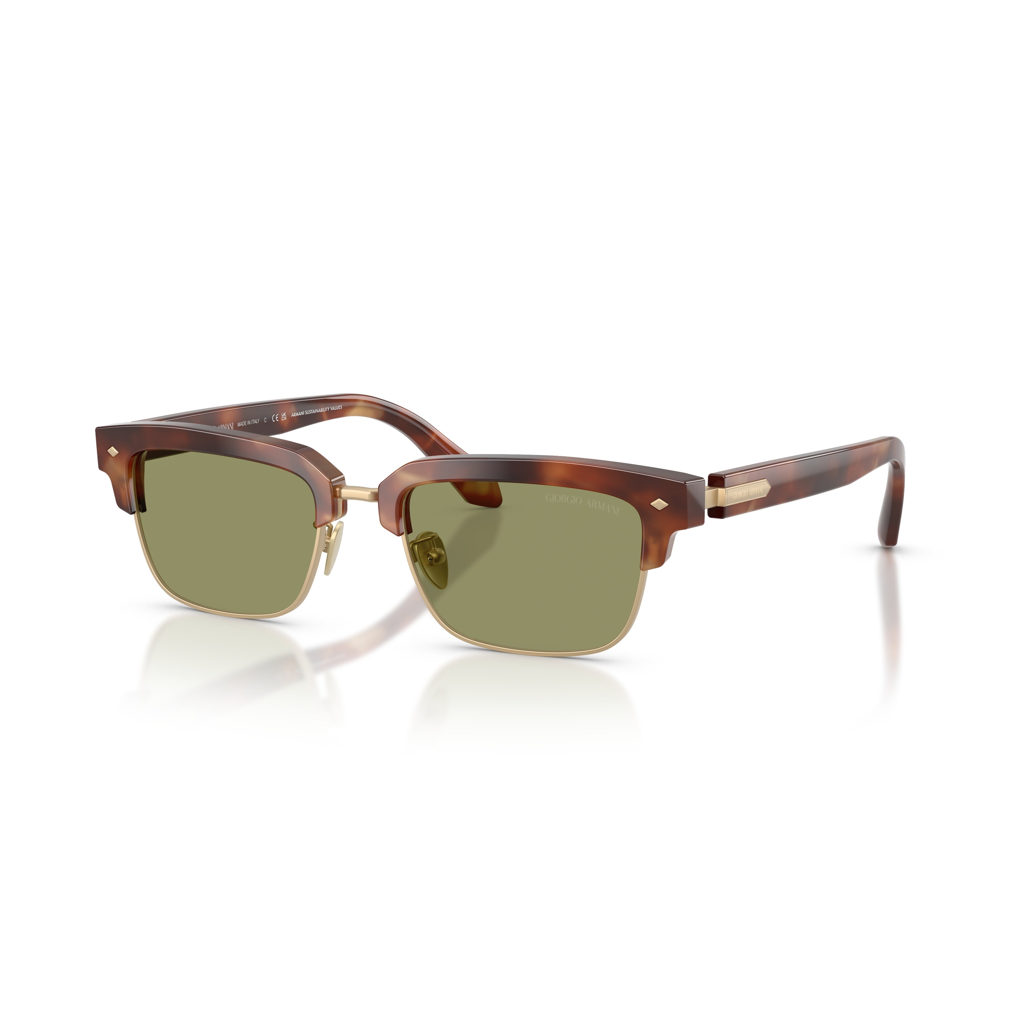 0ar8243 Tortoiseshell Acetate Sunglasses with Gold-Tone Frame