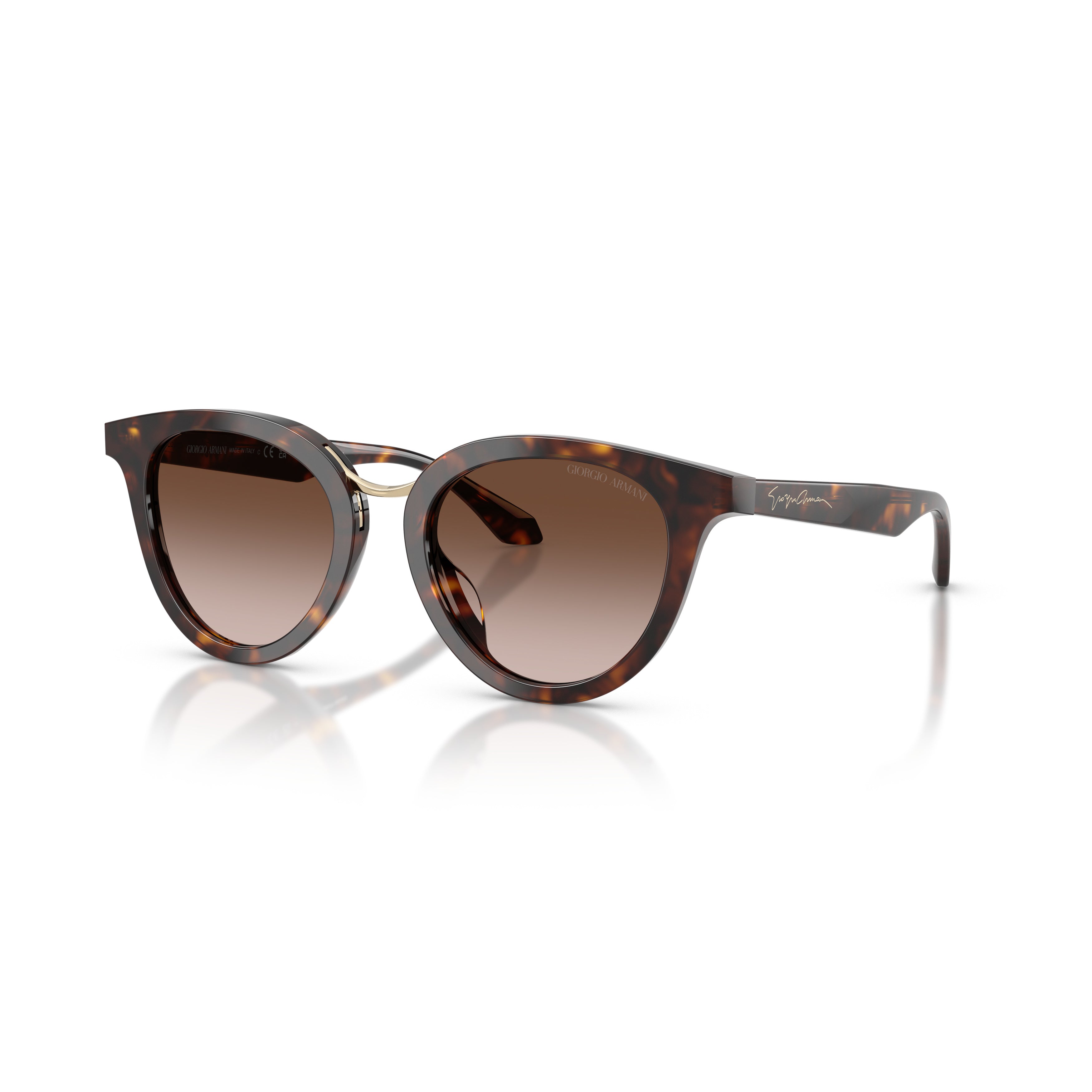 0ar8252u Rounded Cat-Eye Sunglasses with Tortoiseshell Acetate Frame