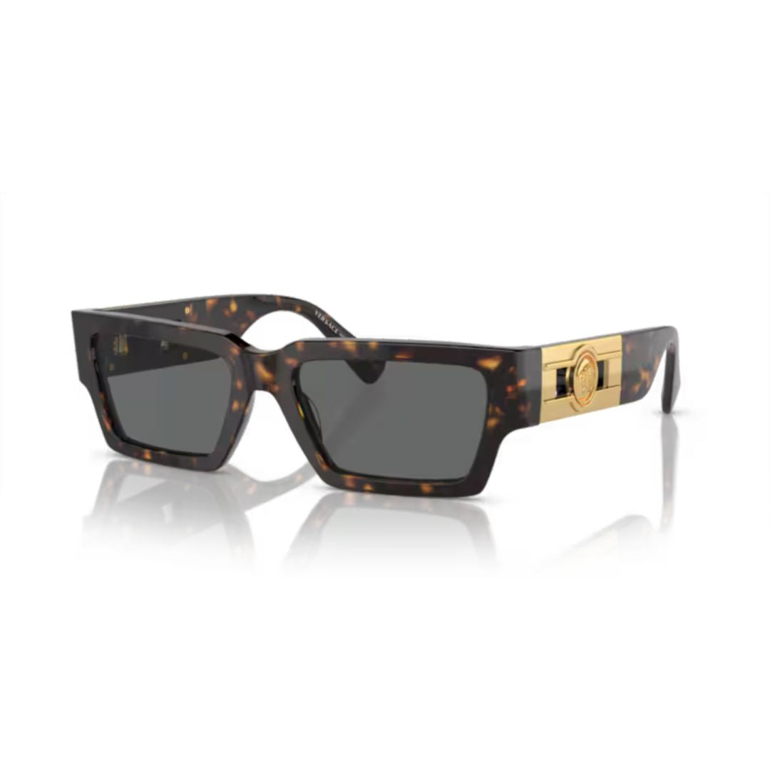 0ve4459 Tortoiseshell Acetate Sunglasses