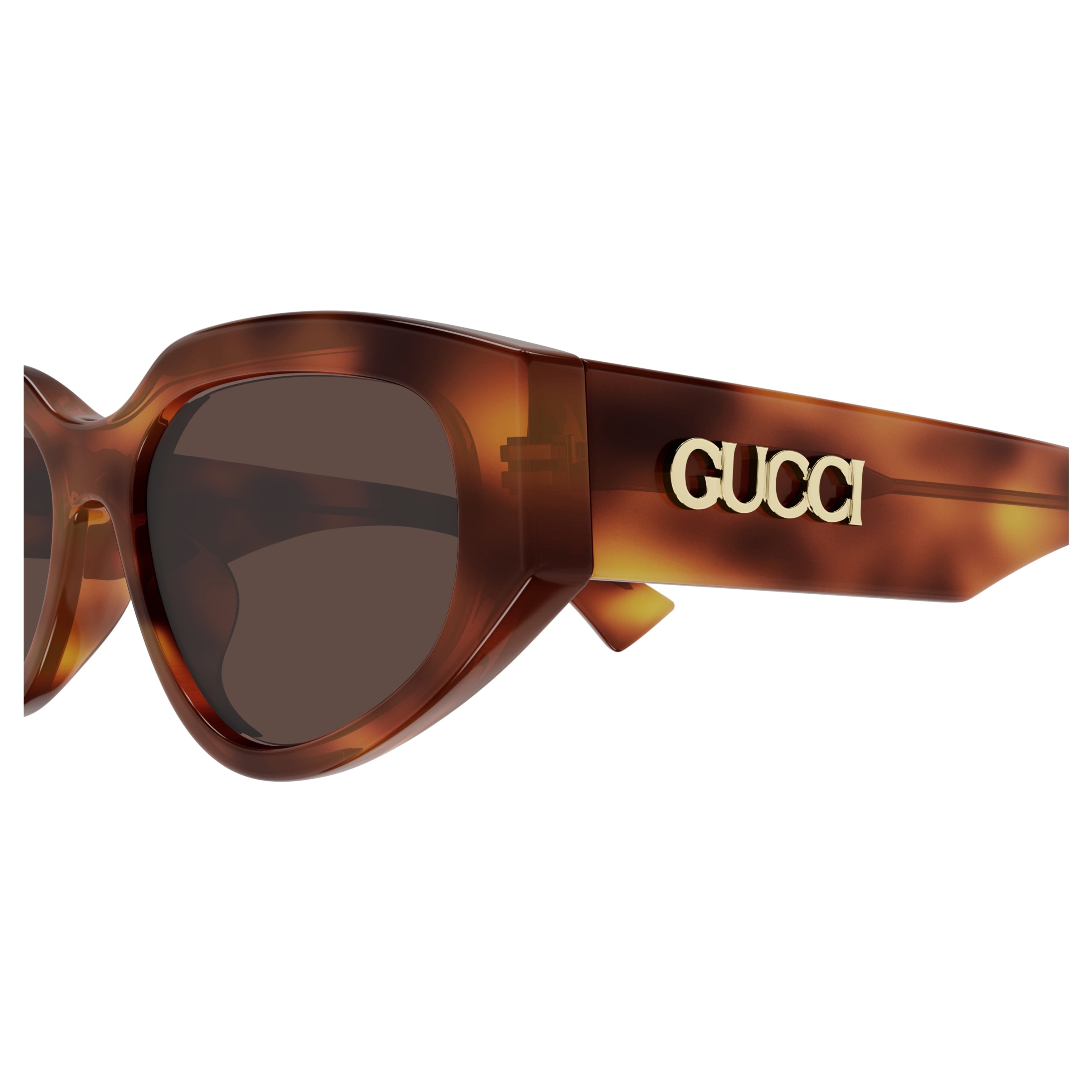 Gg1845sa Cat-eye Brown Tortoiseshell Sunglasses