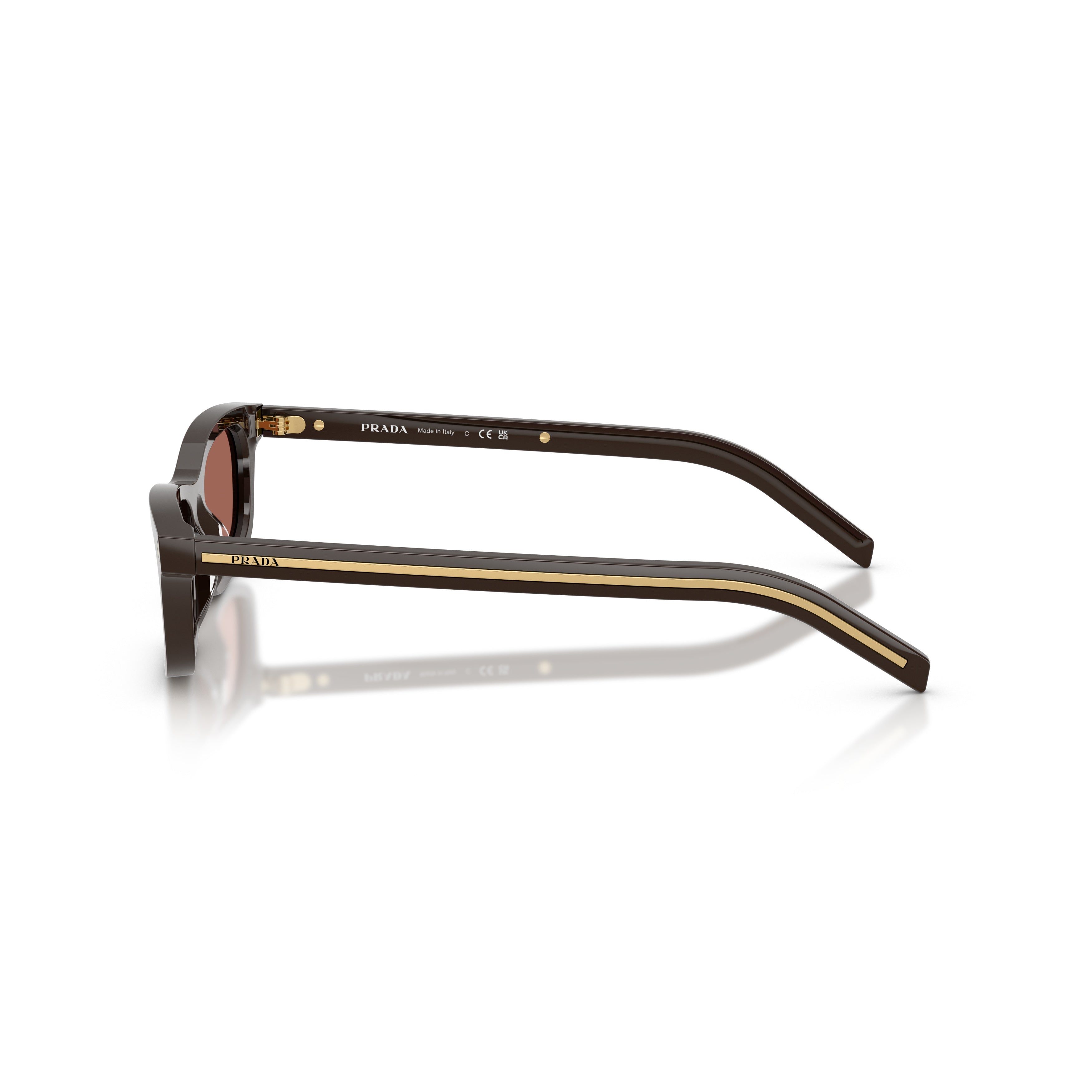 0pr D05s Rectangular Acetate Sunglasses