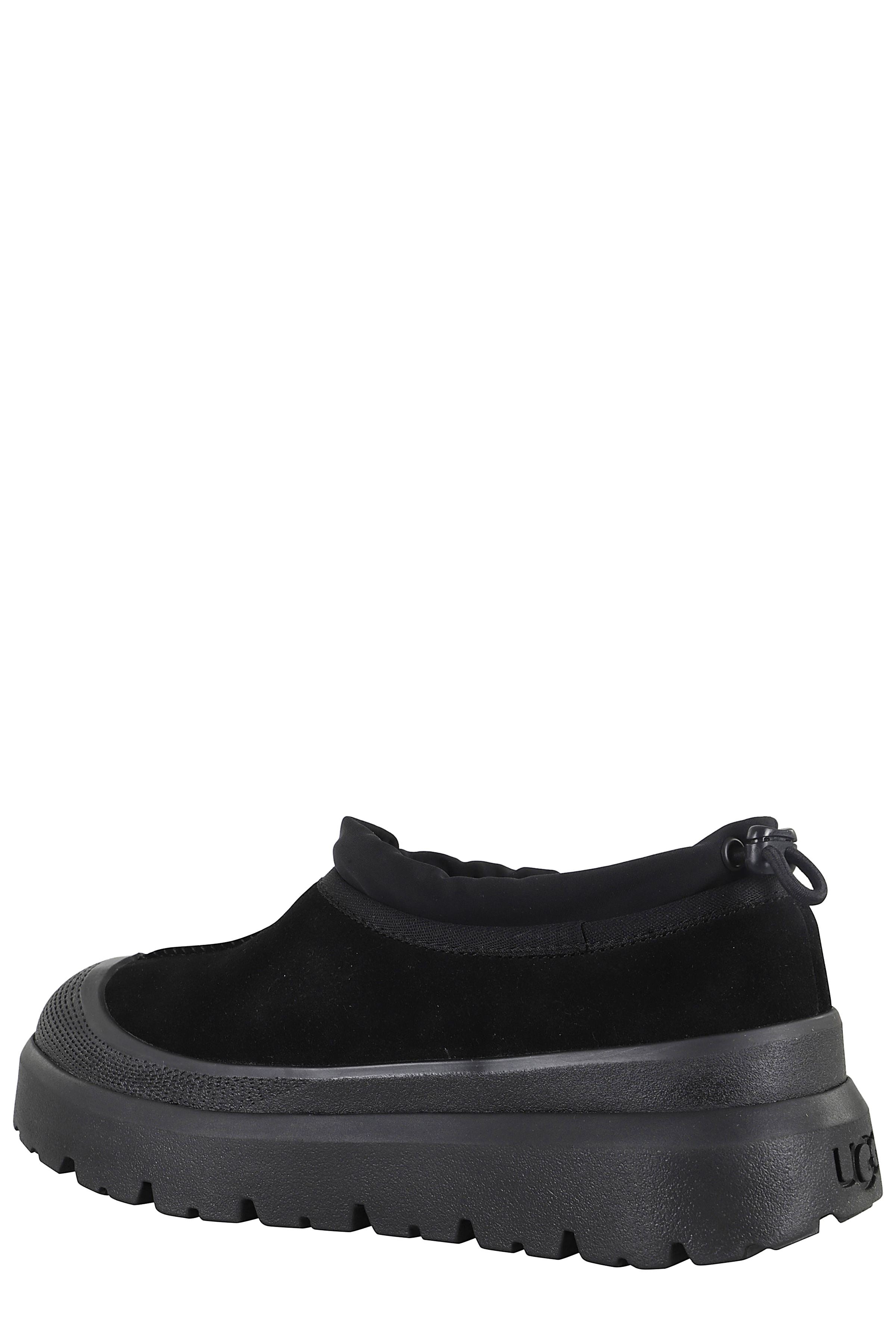 M Tasman Shoe