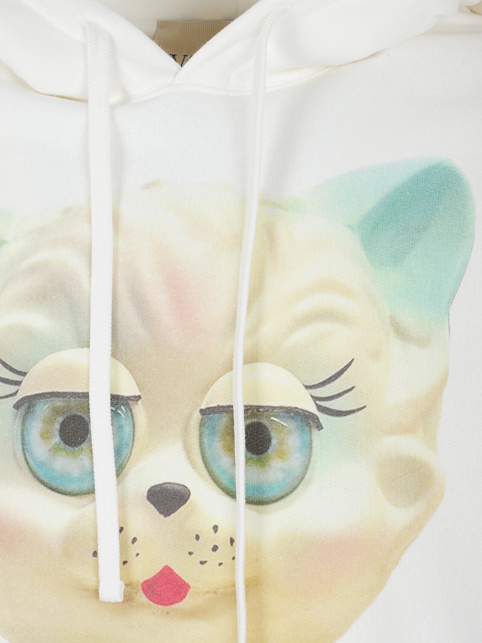 Le Chat de la Maison Print Cotton Hoodie