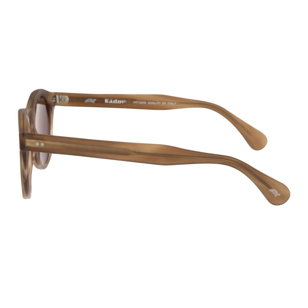Tony Rounded Frame Sunglasses with Matte Finish