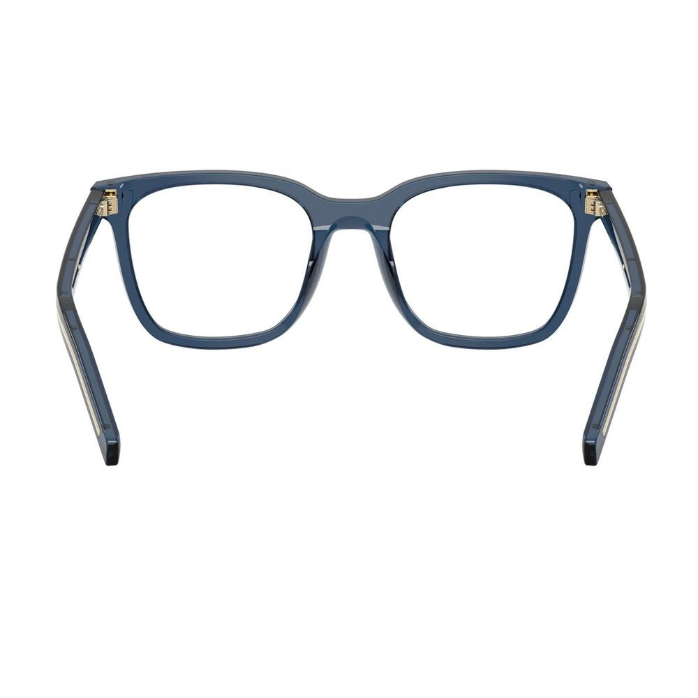 Pr B11V Square Acetate Optical Glasses