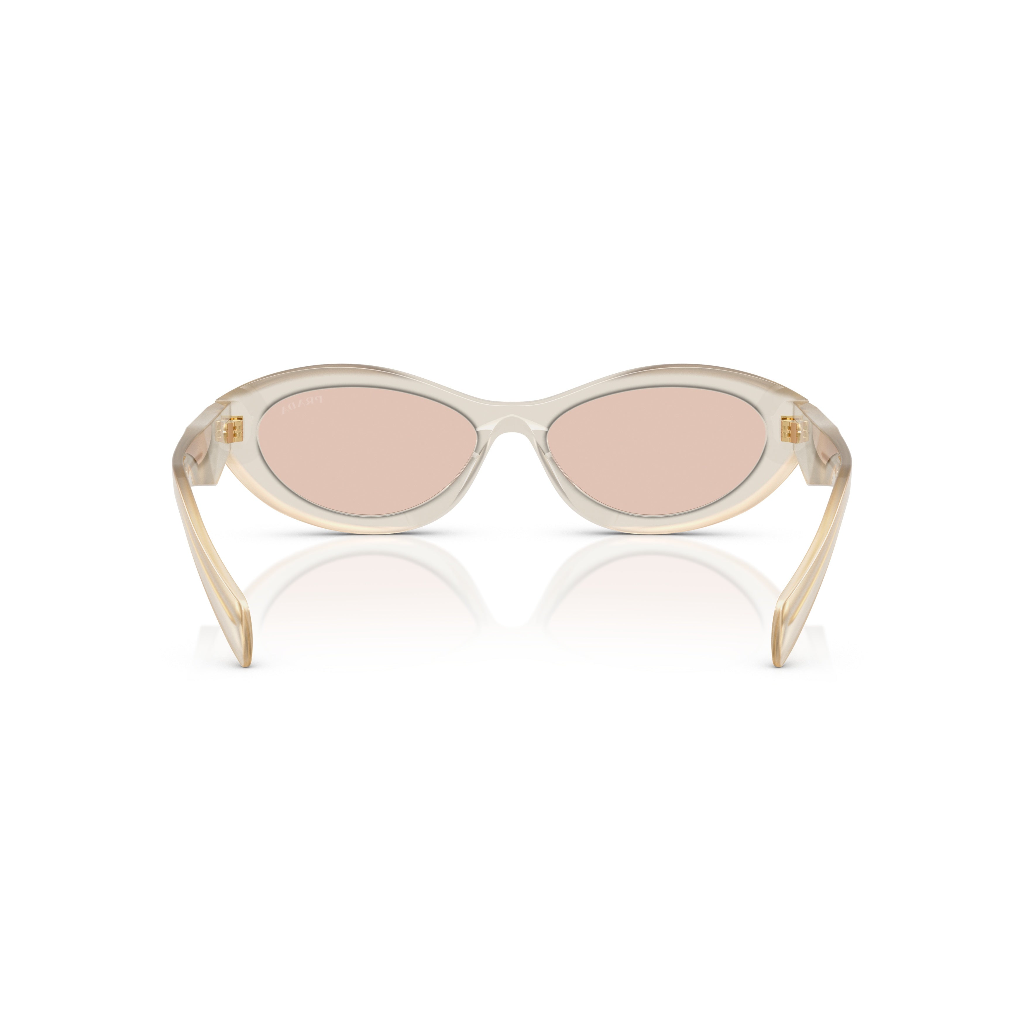 0pr 26zs Translucent Acetate Sunglasses