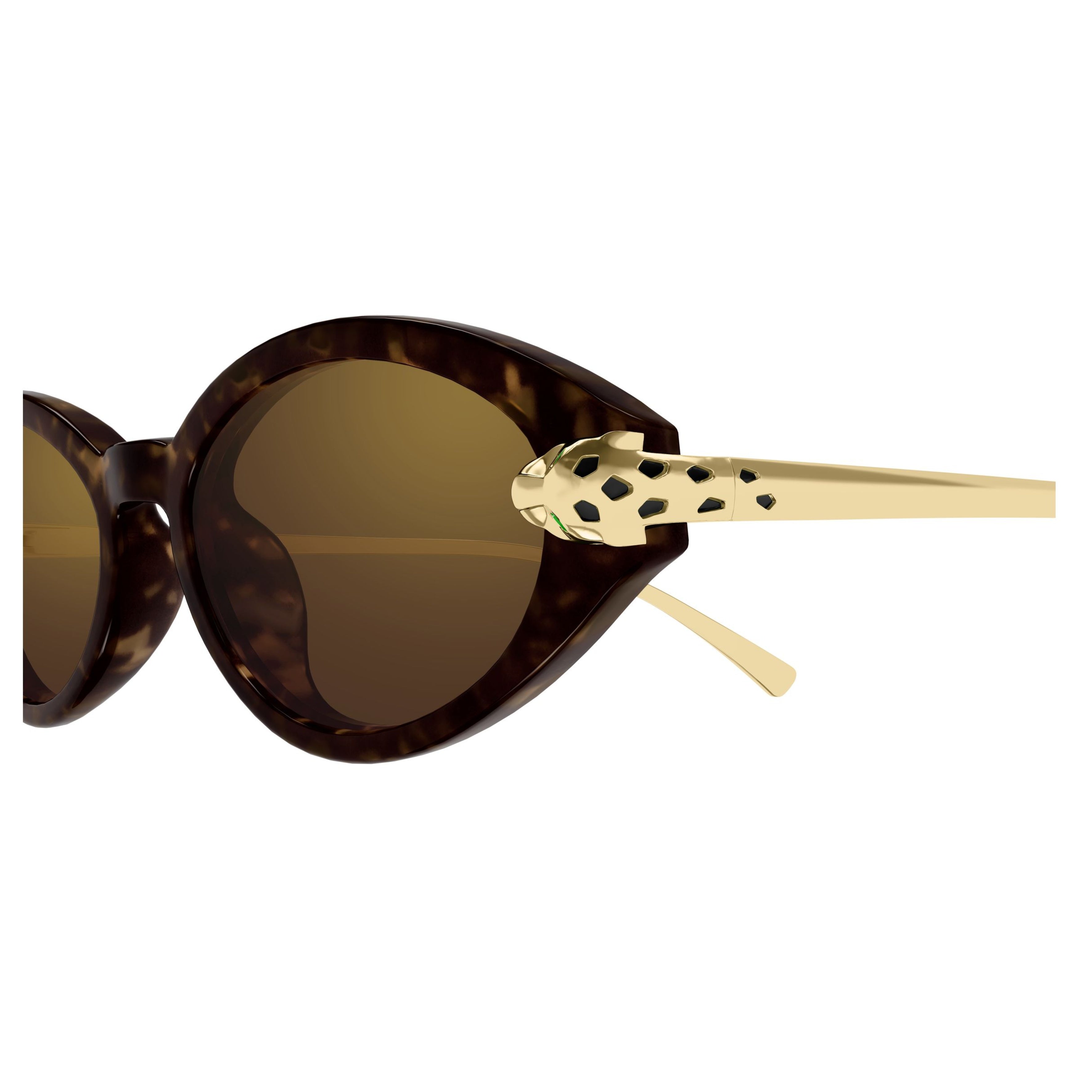 Ct0634s Tortoiseshell Oval Sunglasses