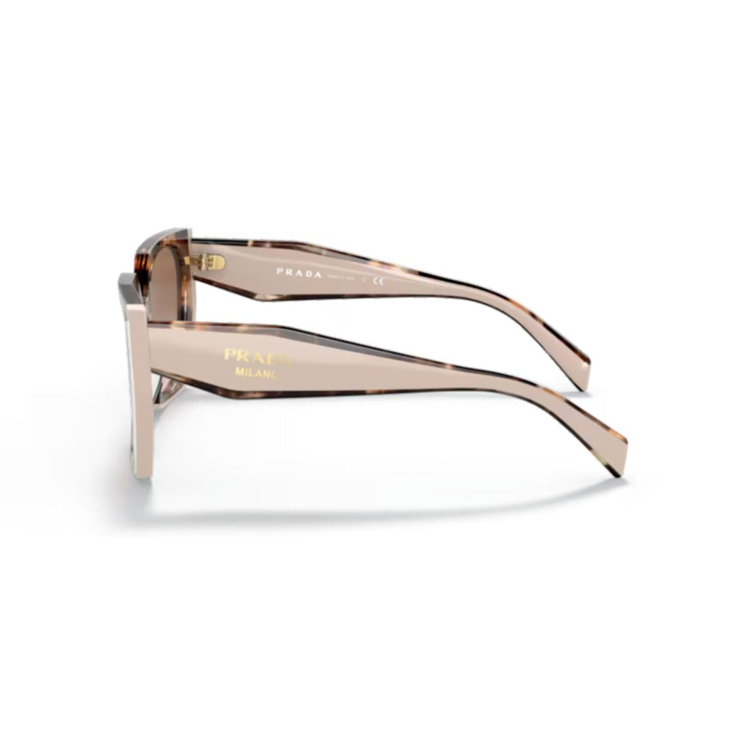 0pr 15ws Oversized Square Frame Tortoiseshell Sunglasses