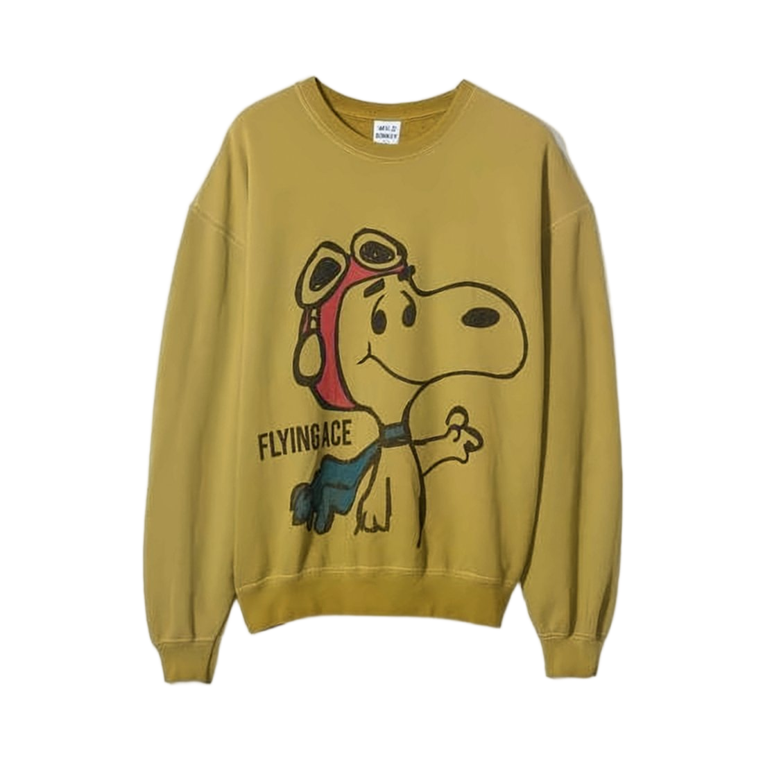 Relaxed Fit Long-Sleeve Graphic Sweatshirt With Aviator Print