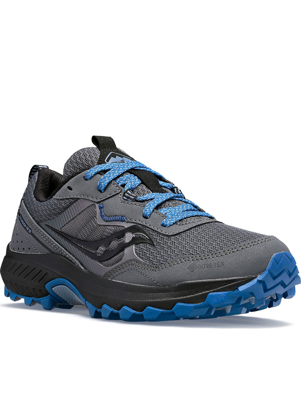 Dark Grey Excursion Tr16 GTX Running Shoe