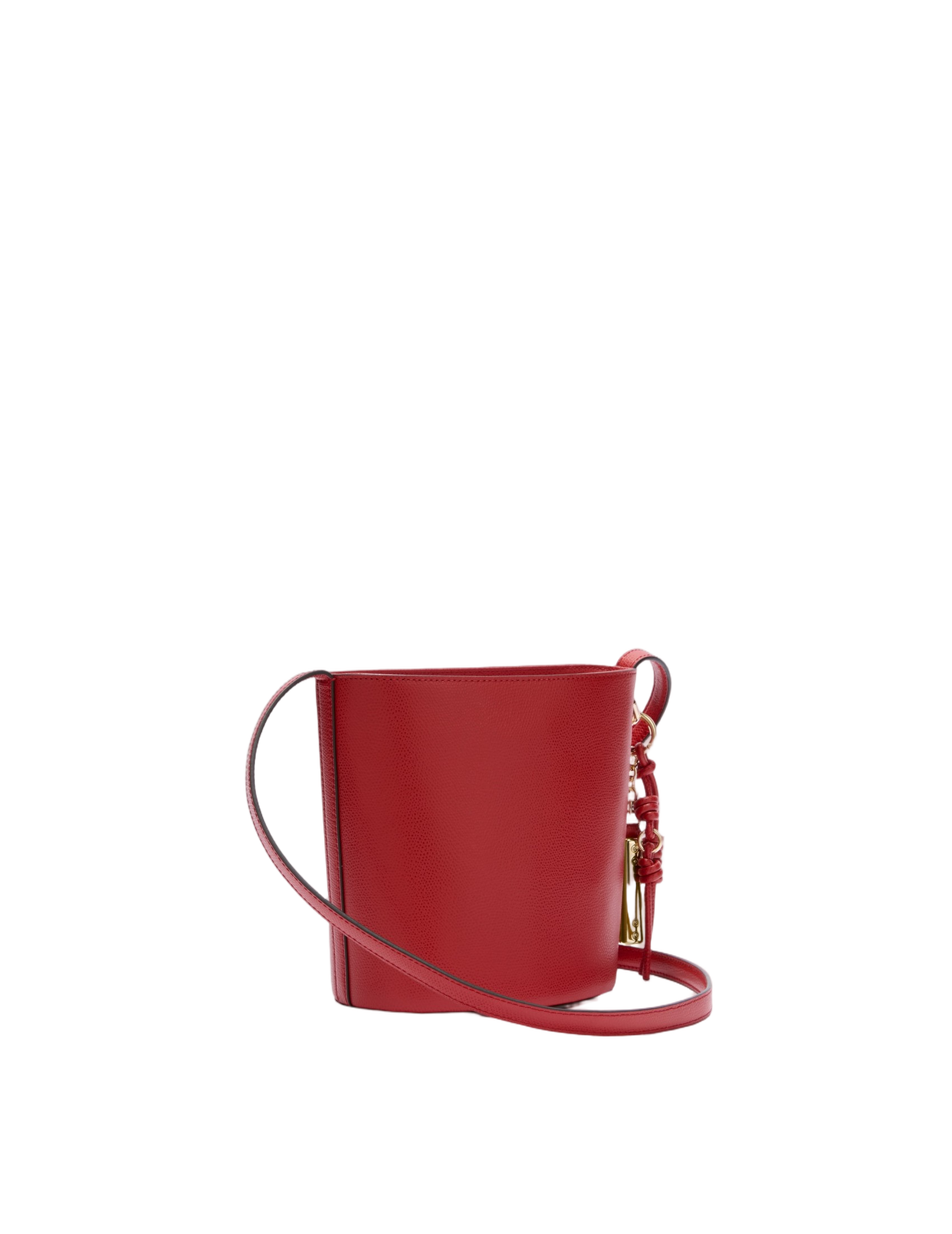 Red Roxie Mini Leather Bucket Bag