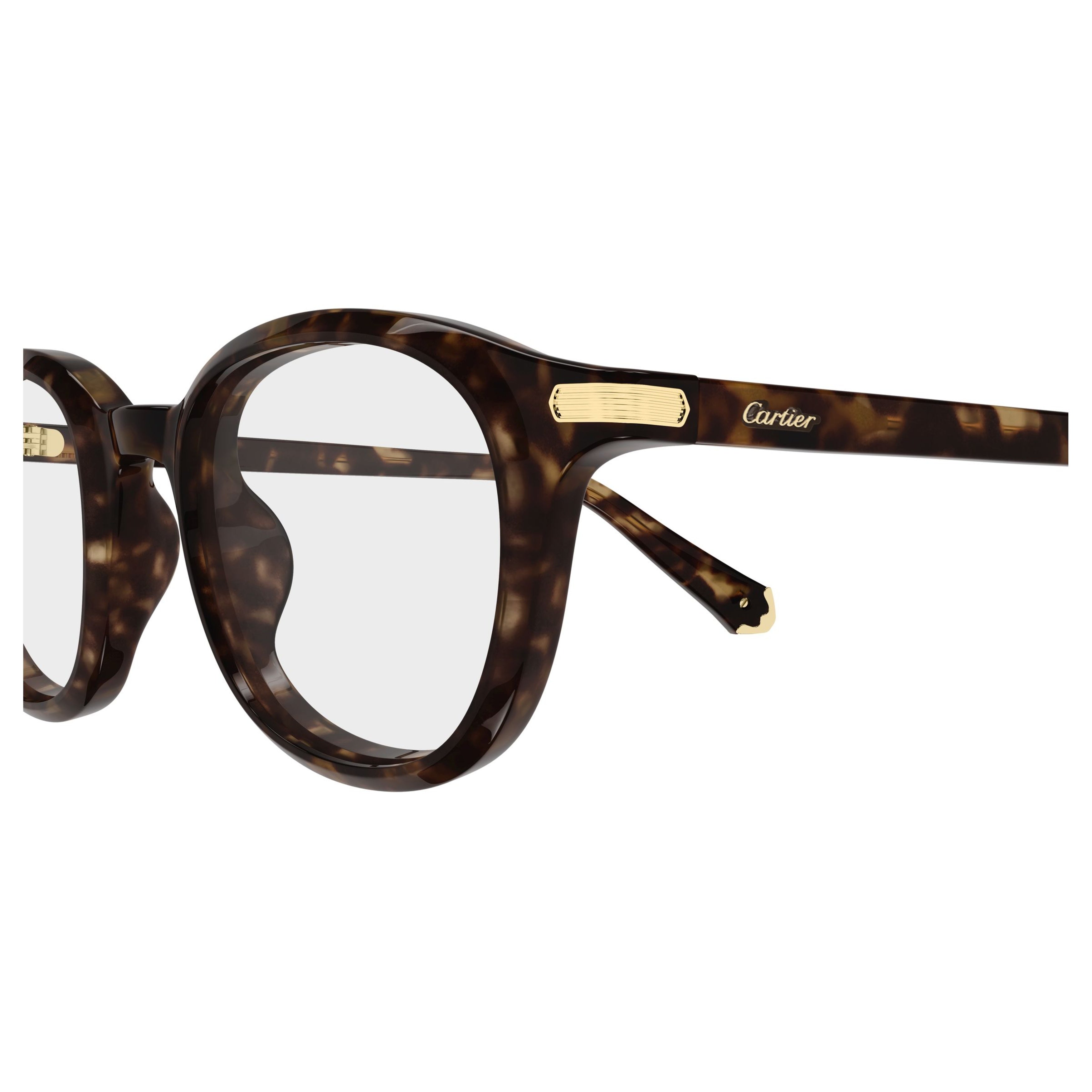 Tortoiseshell Acetate Eyeglasses With Gold-Tone Accents