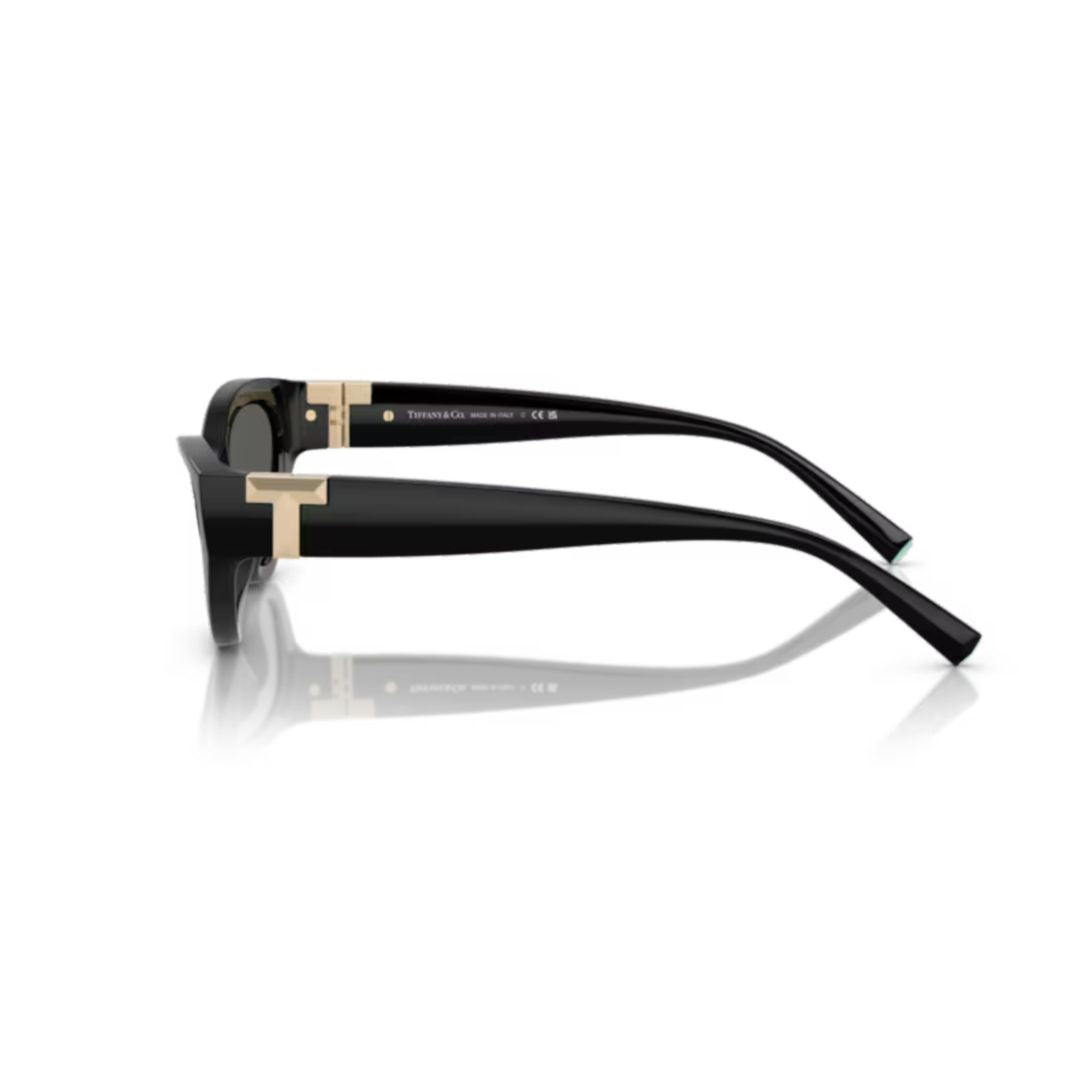 0tf4225u Cat-Eye Sunglasses with Gold-Tone Detail
