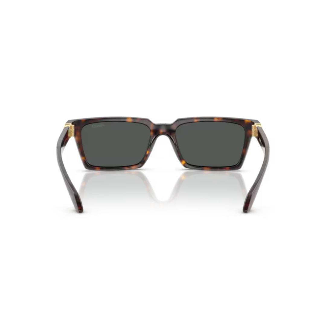 0ve4490u Tortoiseshell Frame Sunglasses