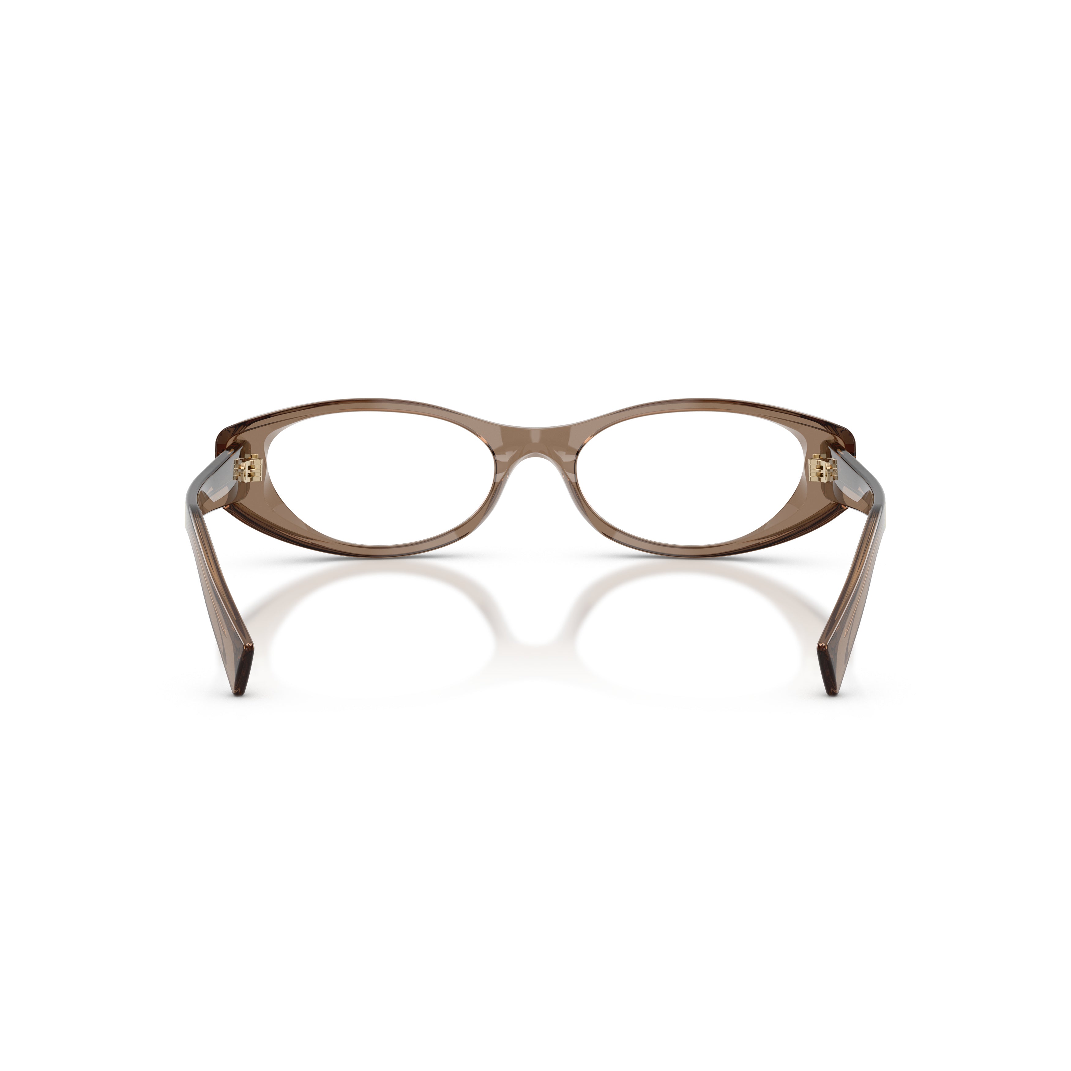 0mu 03zv Translucent Brown Acetate Cat-Eye Sunglasses