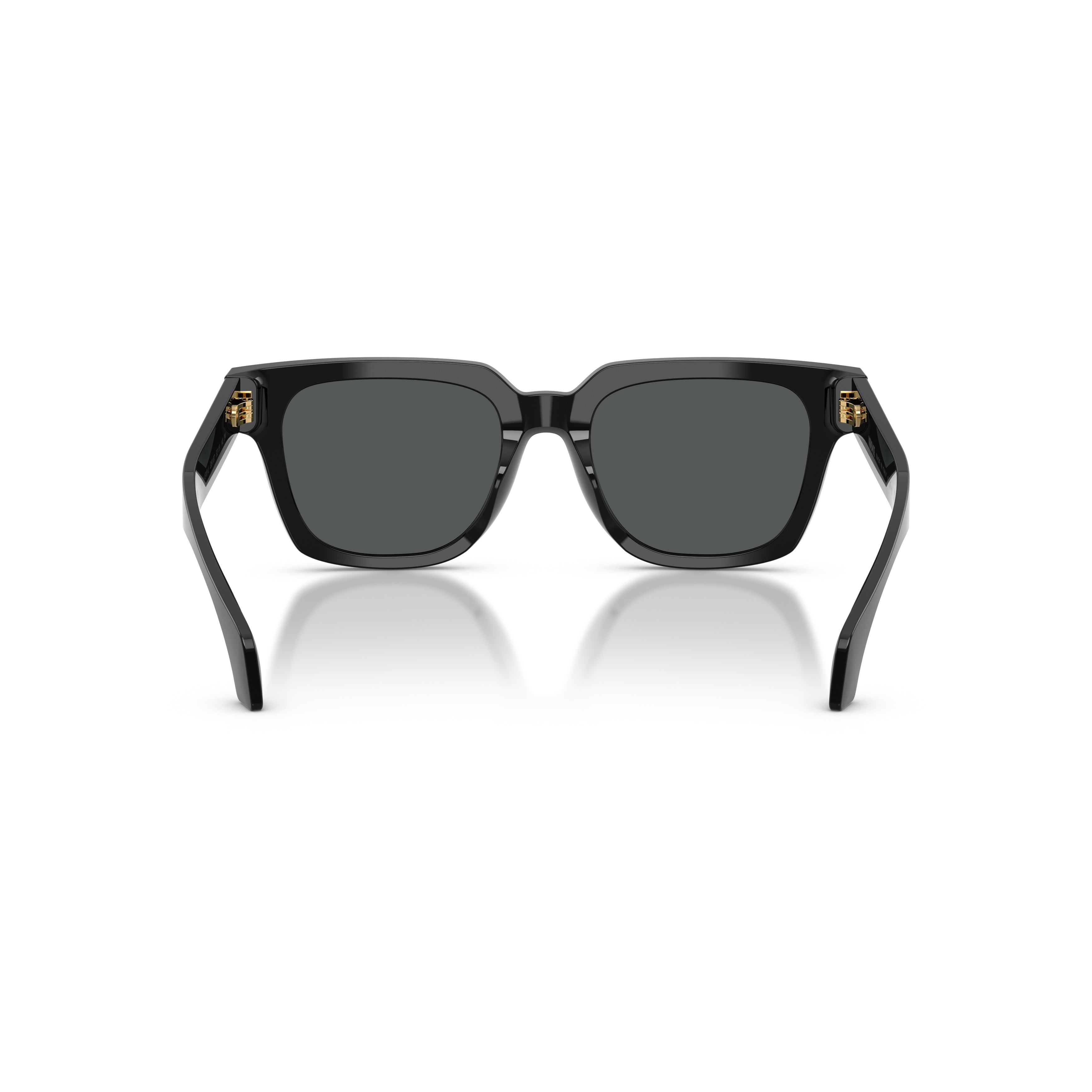 0ve4510u Rectangular Black Acetate Sunglasses