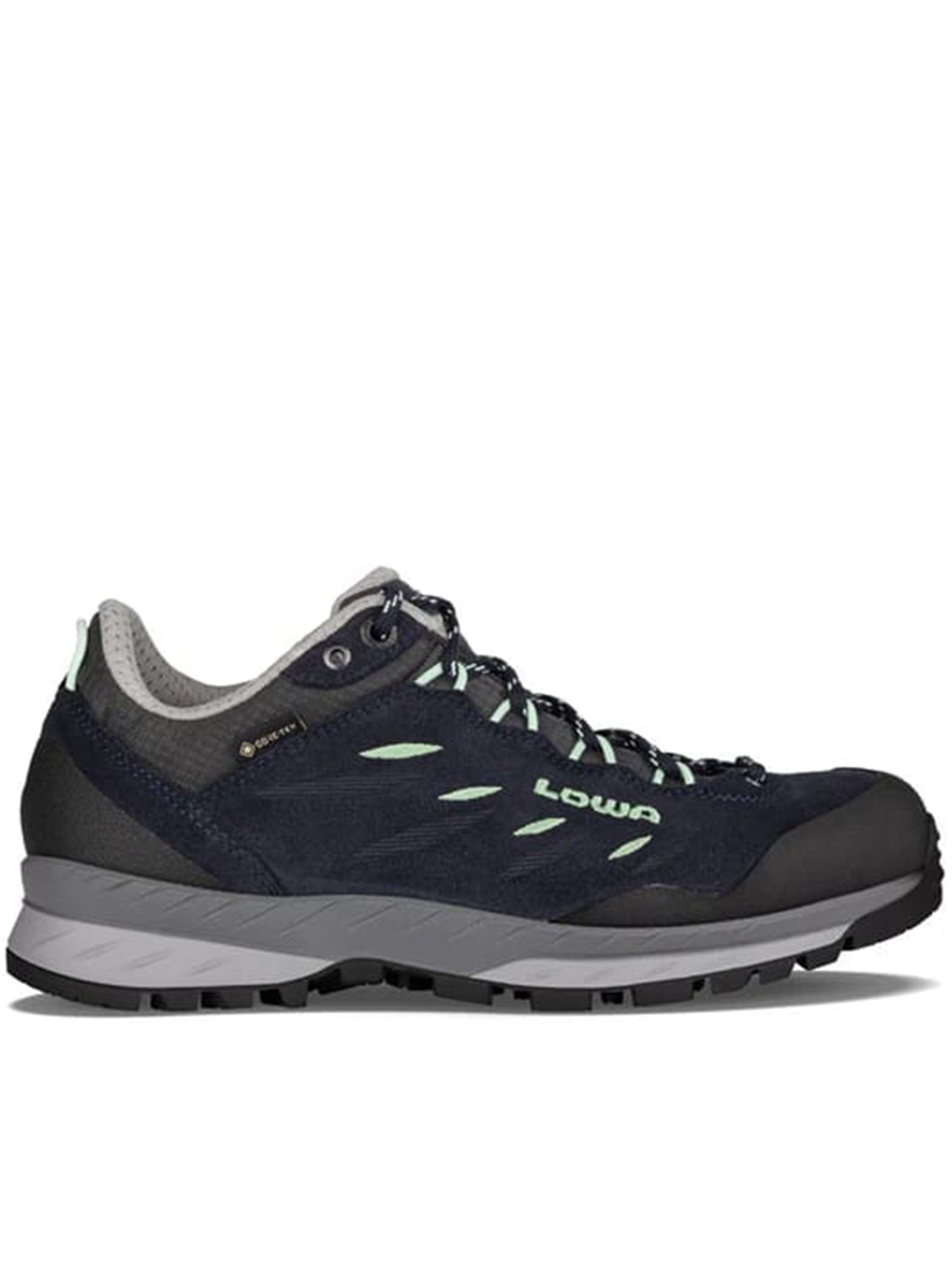 Blue Delago GTX Lo Ws Sneakers