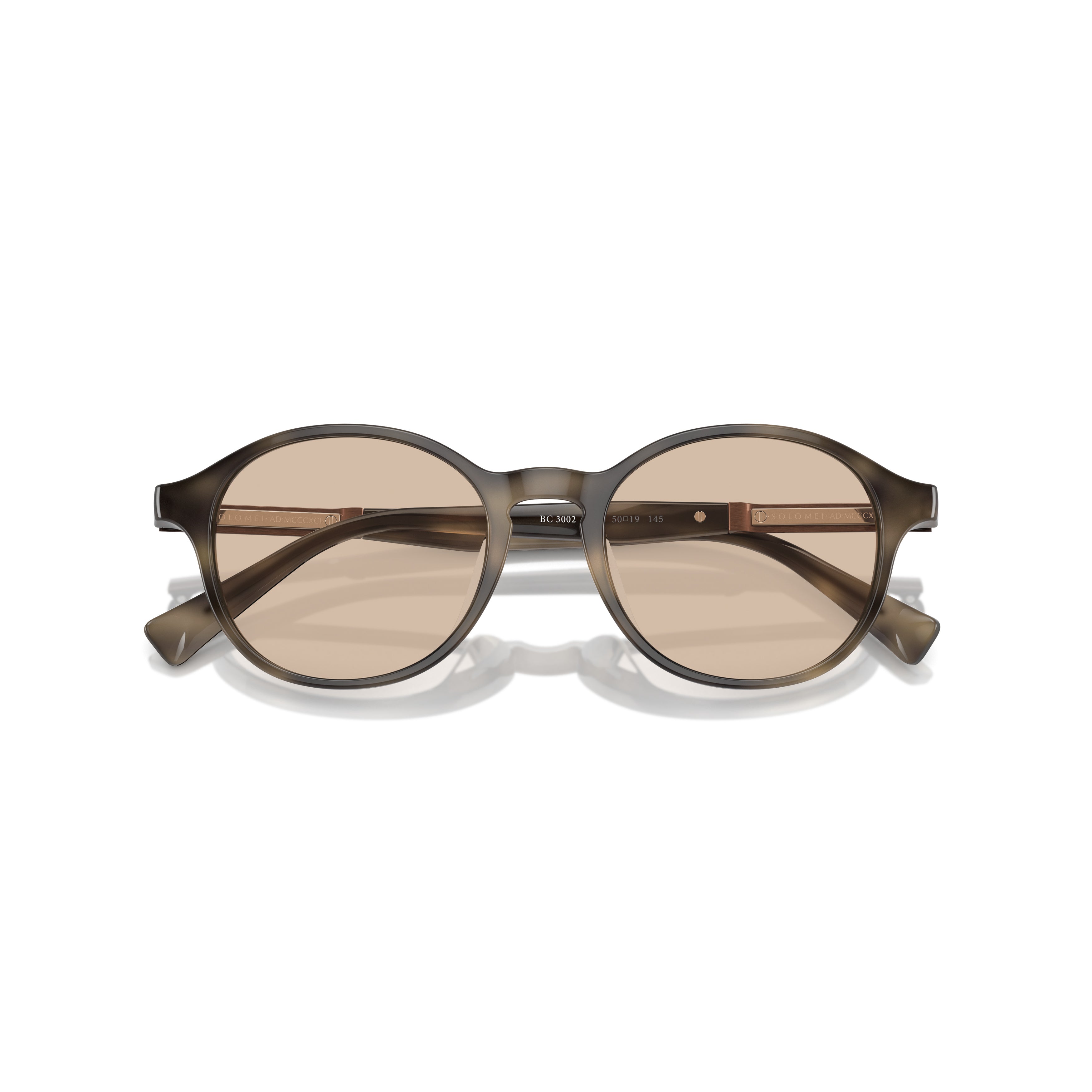 0bc3002 Rounded Acetate Sunglasses with Metallic Accents