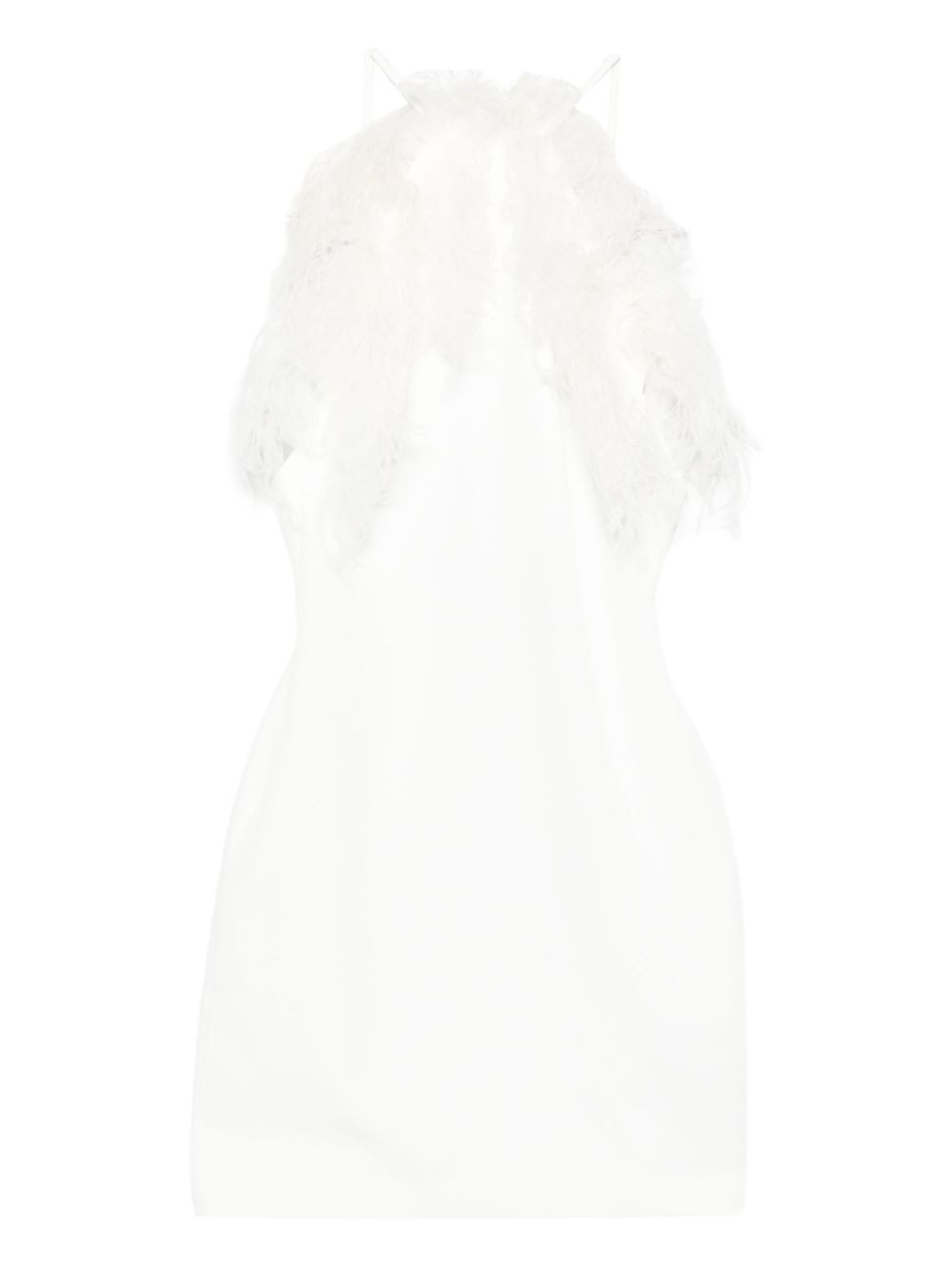 Mini Dress with Feather Embellished Neckline