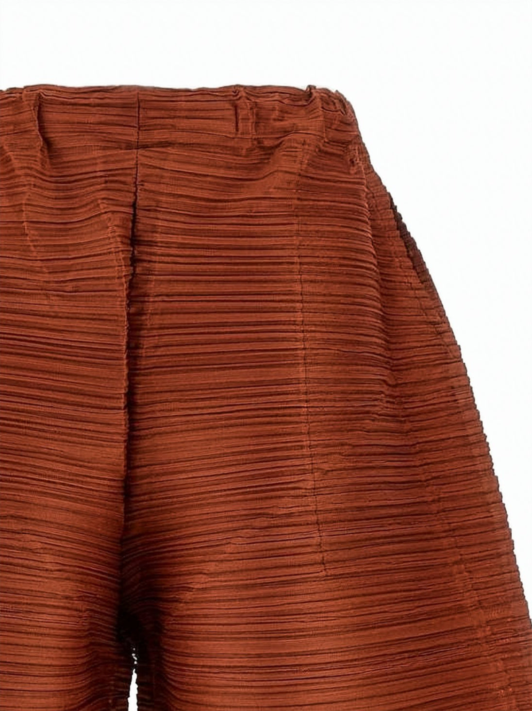 Distinctive Pleated Brown Wide-Leg Pants
